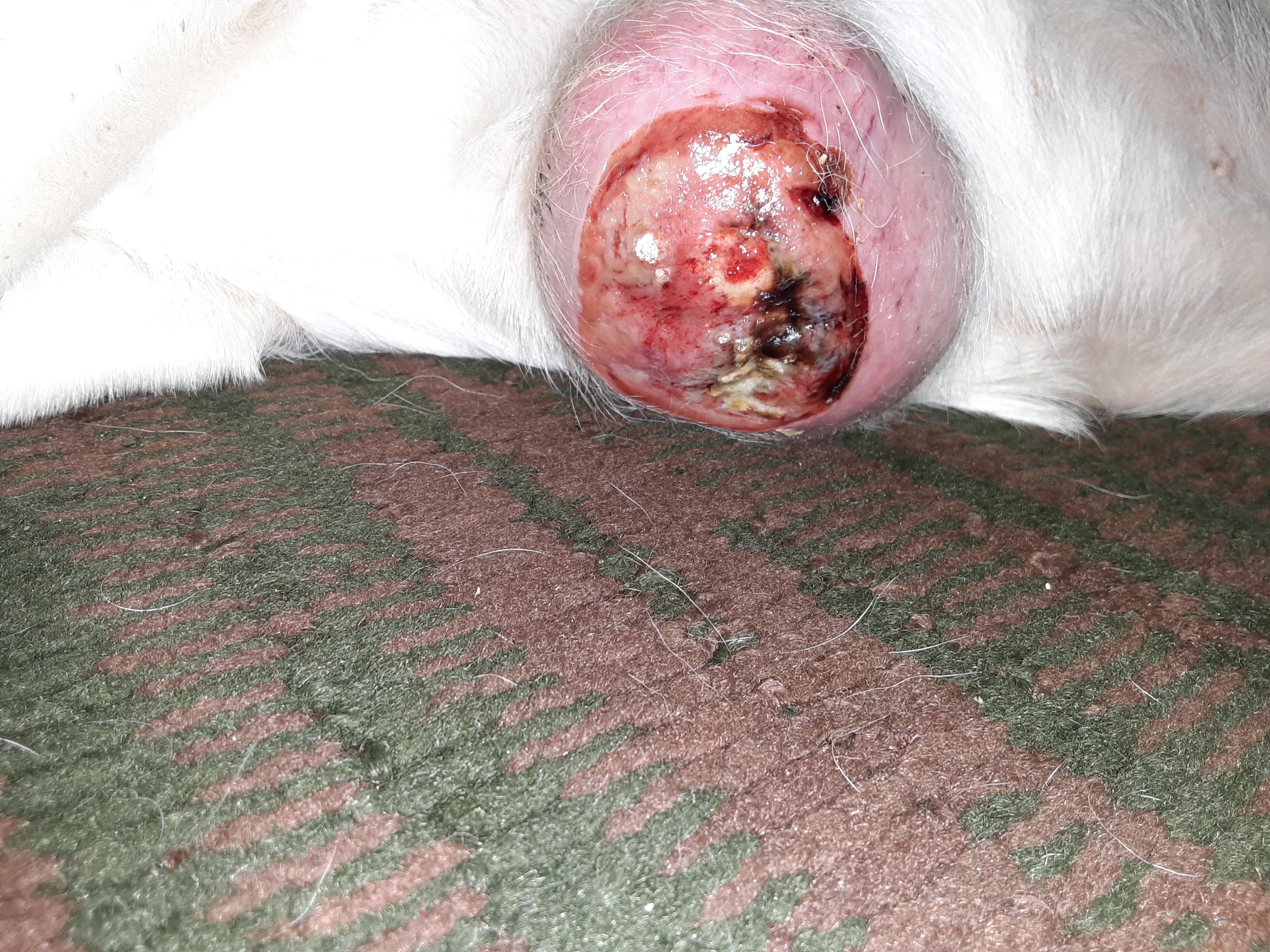 Question details sensitive content