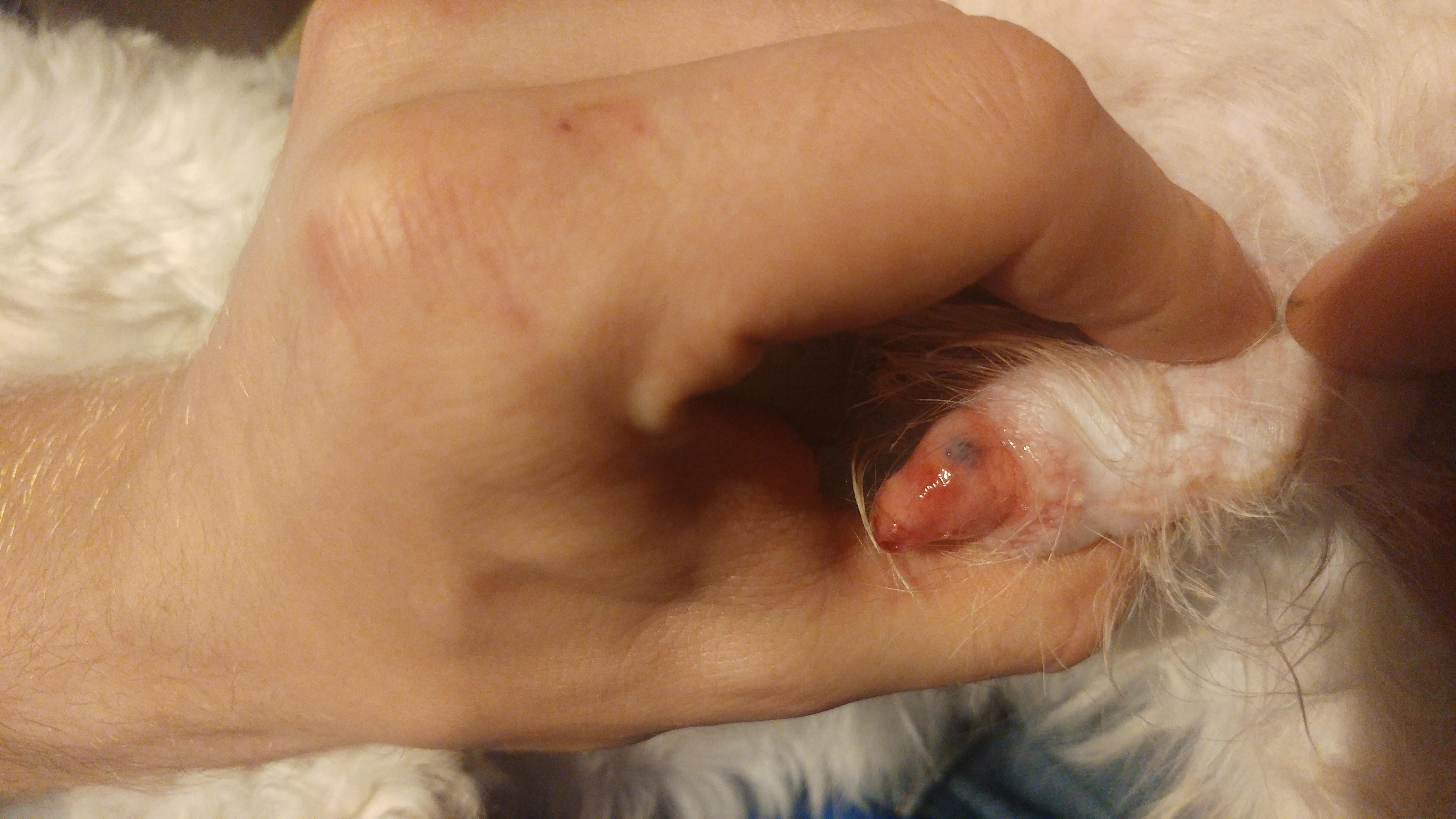 Question details sensitive content