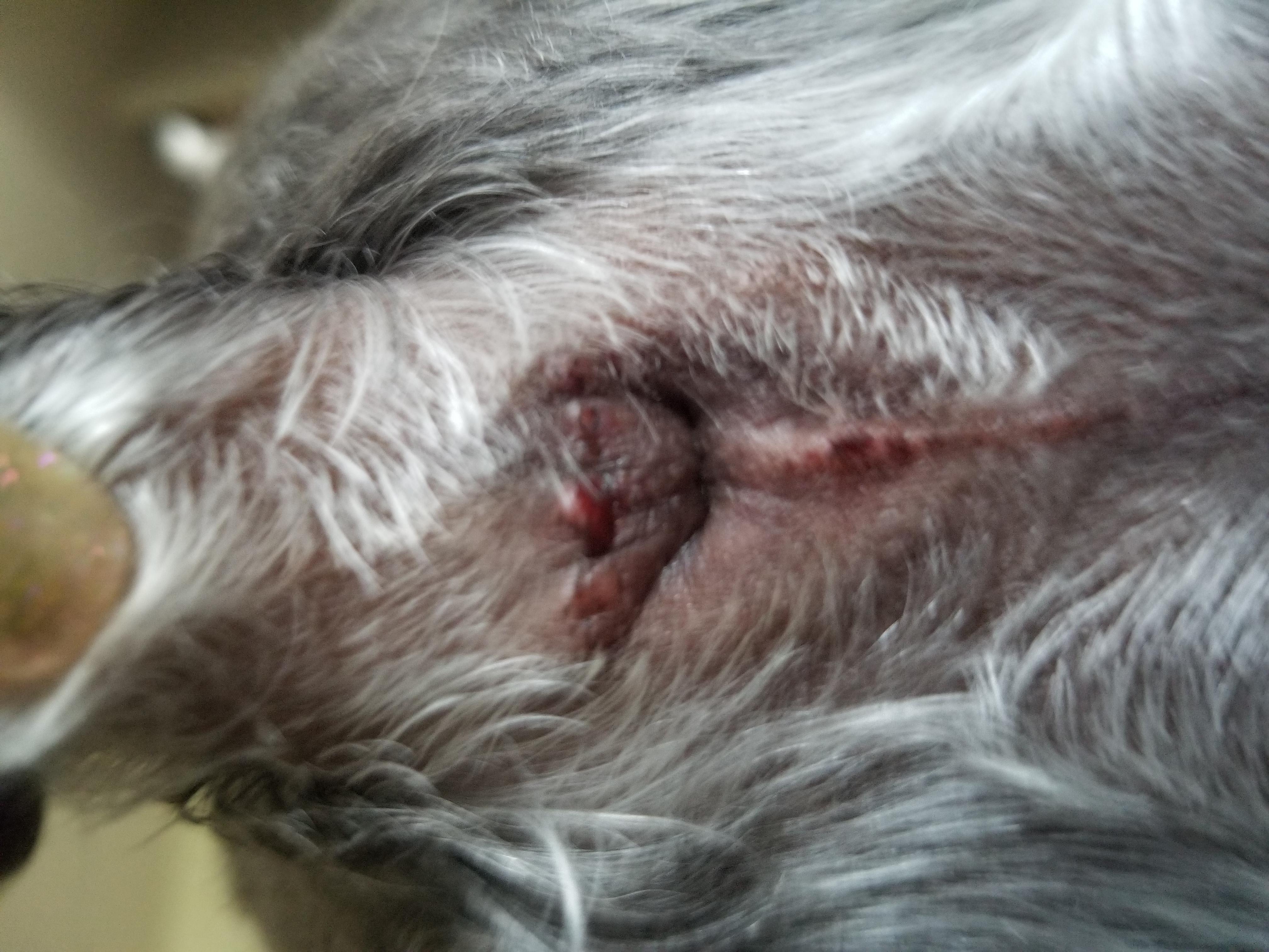 Question details sensitive content