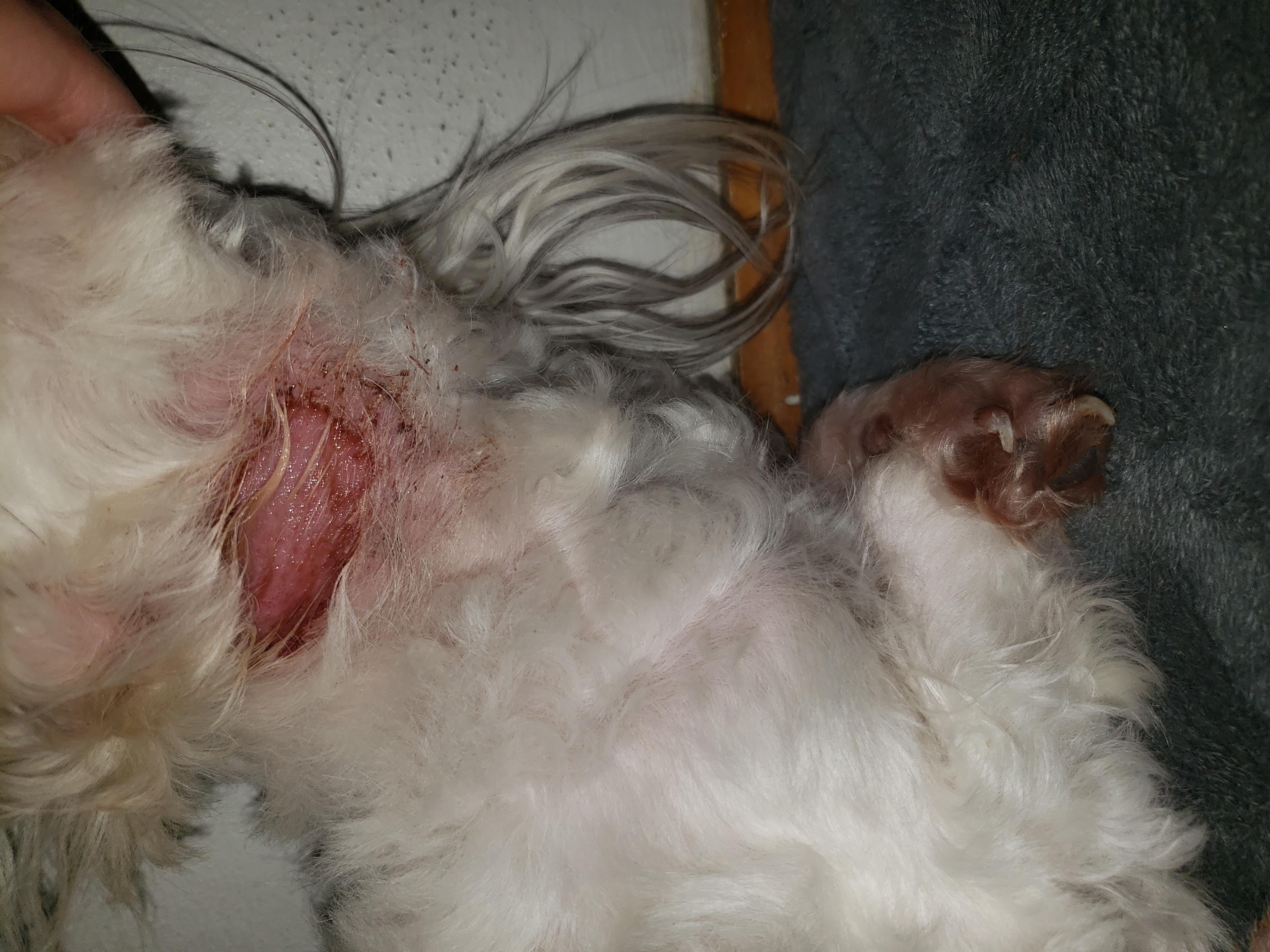 Question details sensitive content