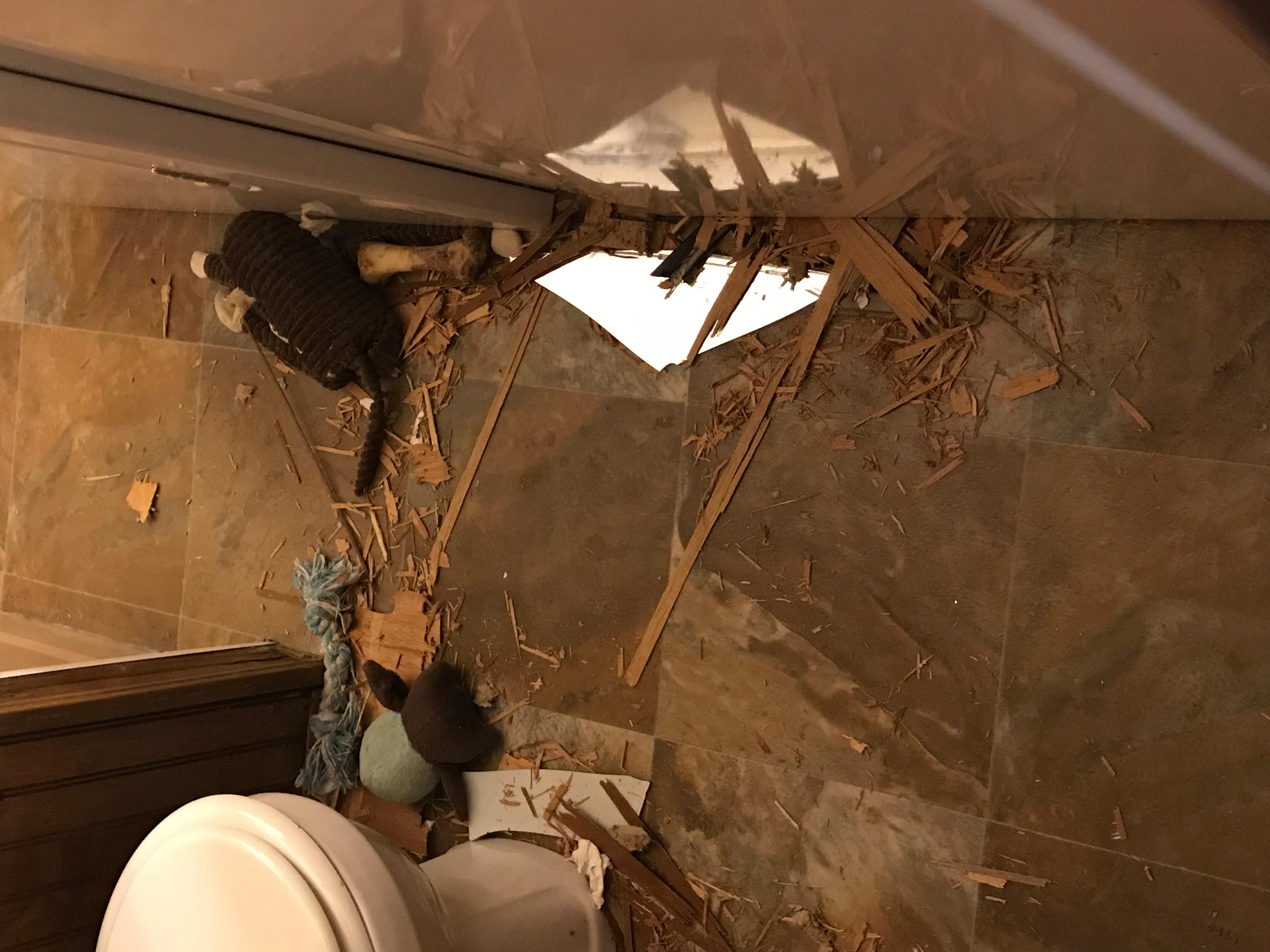 Question details sensitive content