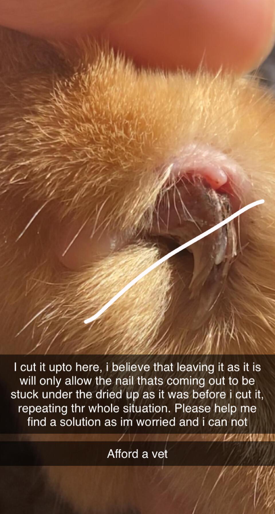 Question details sensitive content