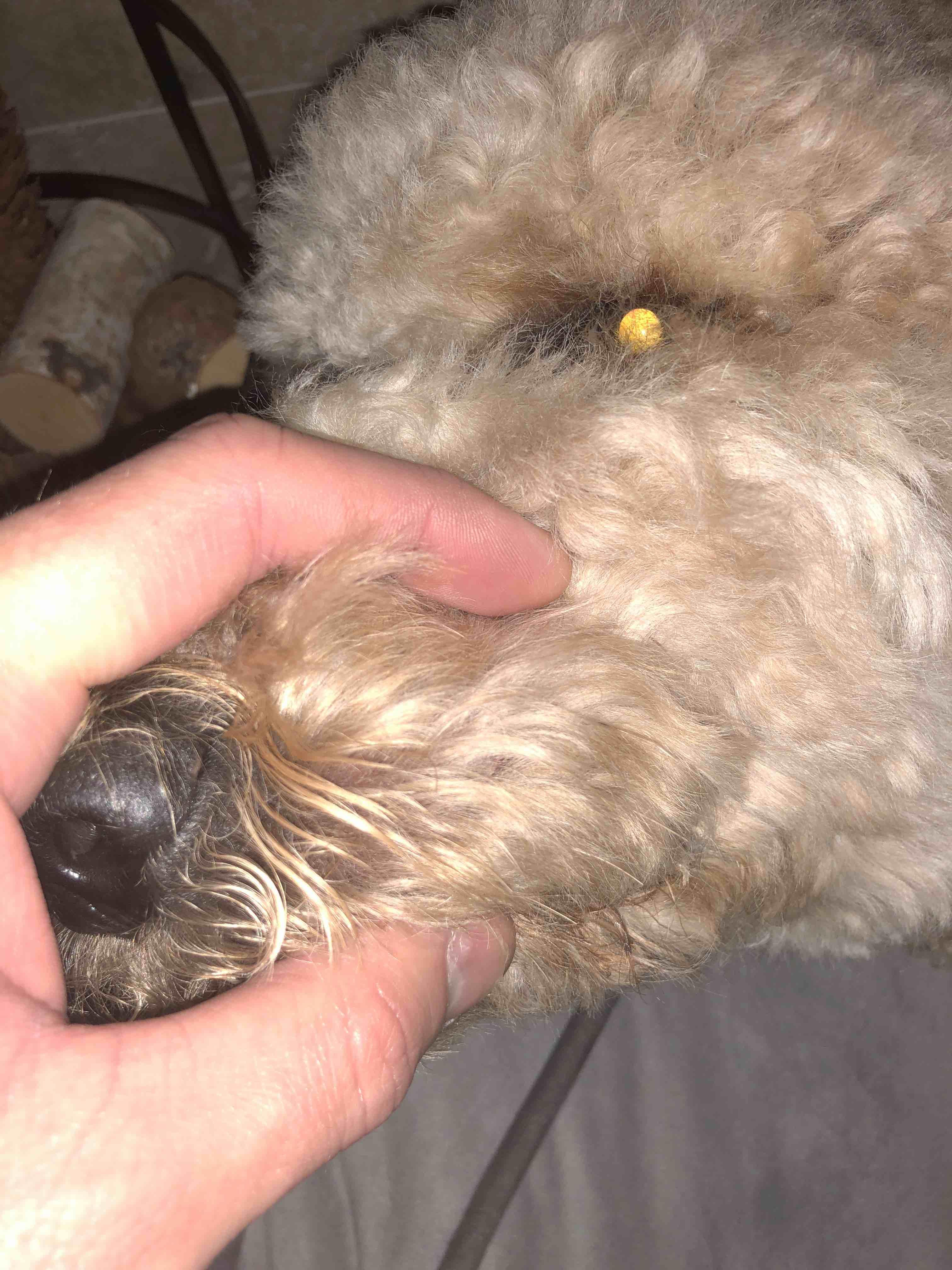 Question details sensitive content