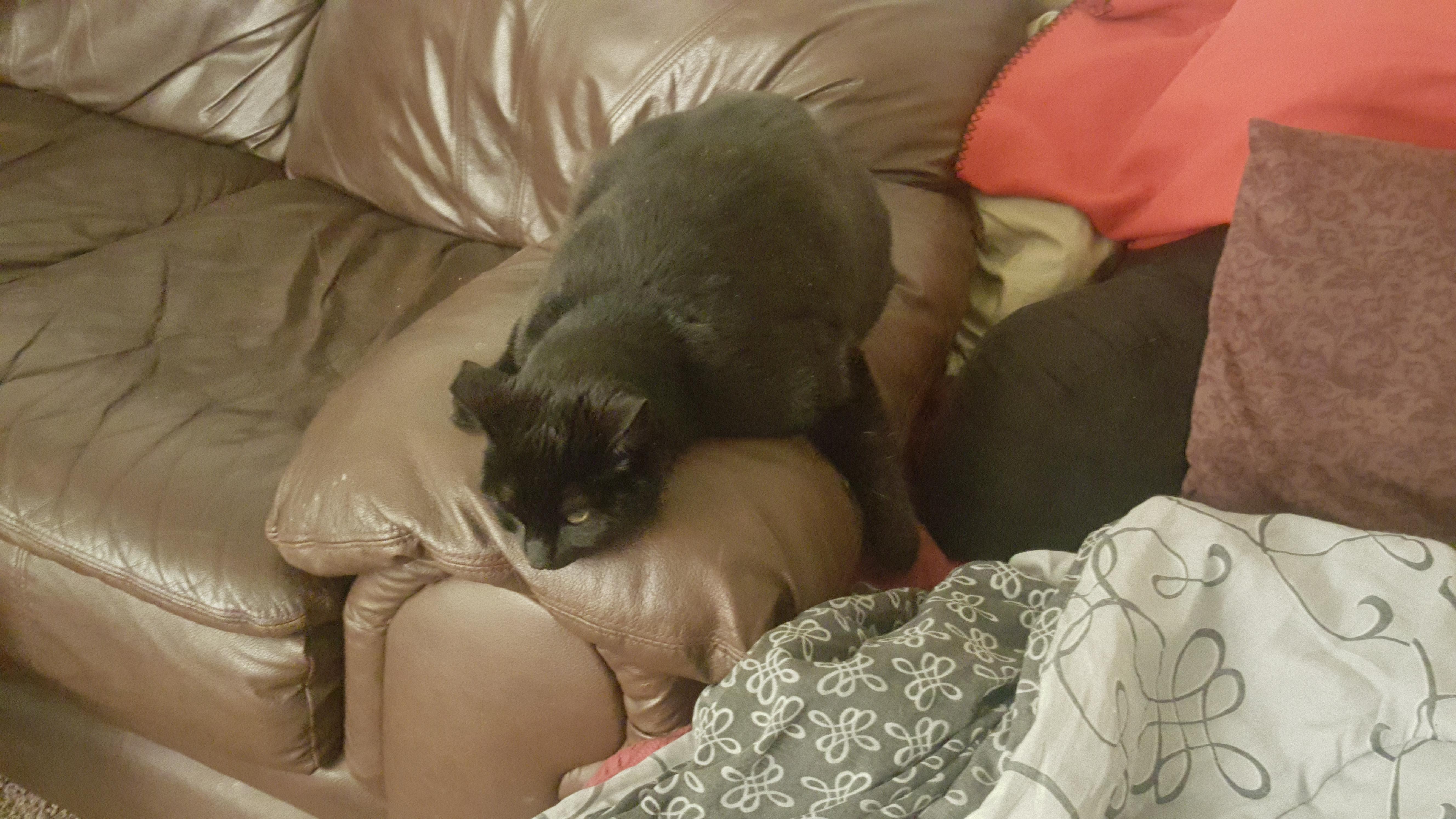 Question details sensitive content