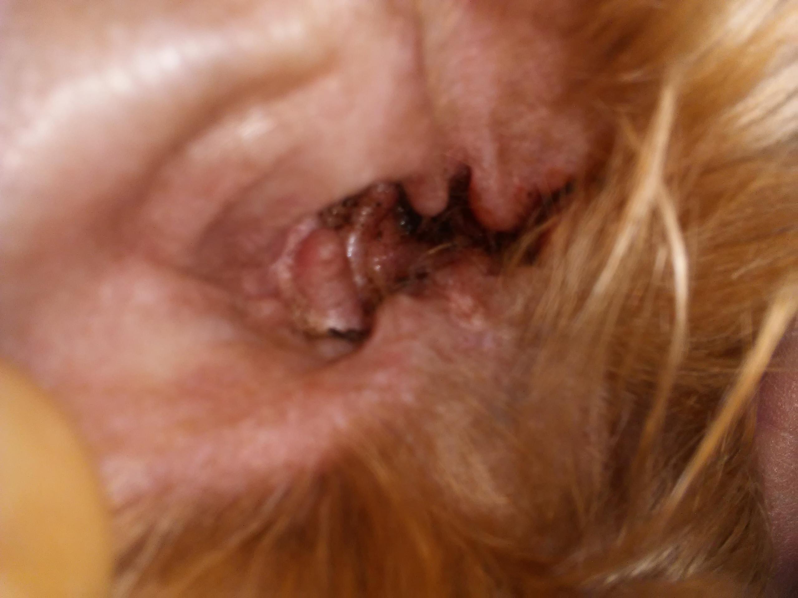 Question details sensitive content