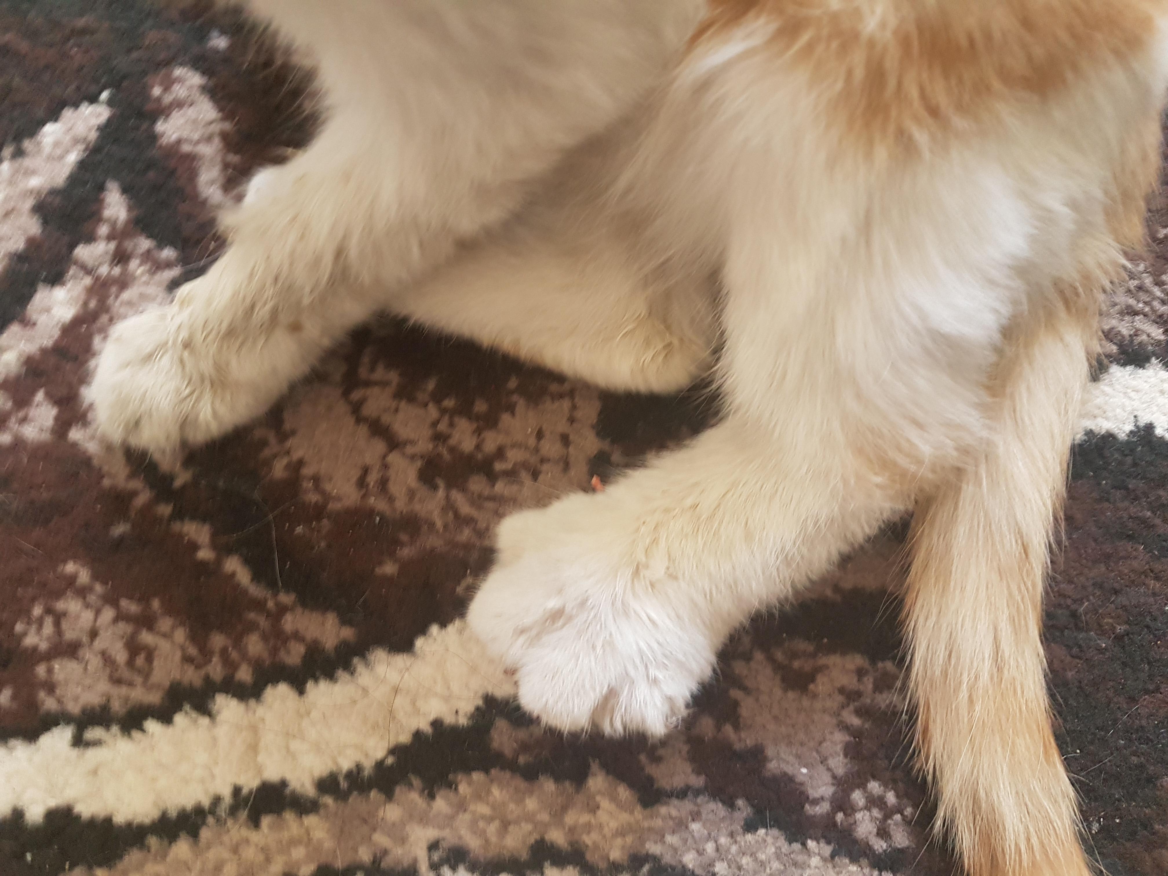 Question details sensitive content