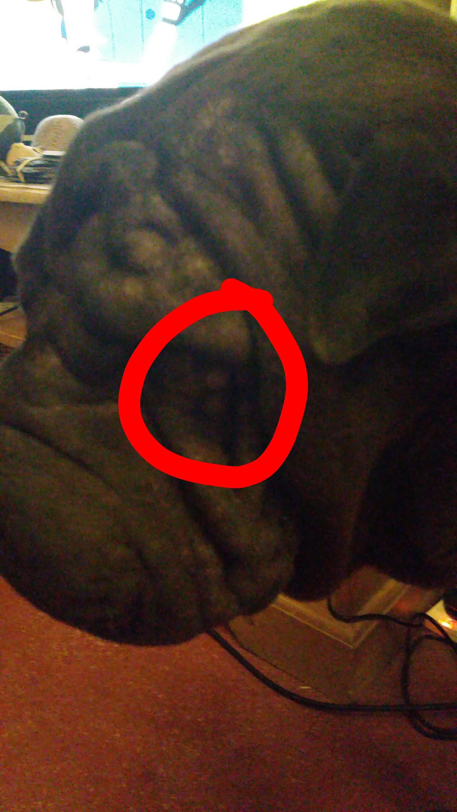 Question details sensitive content