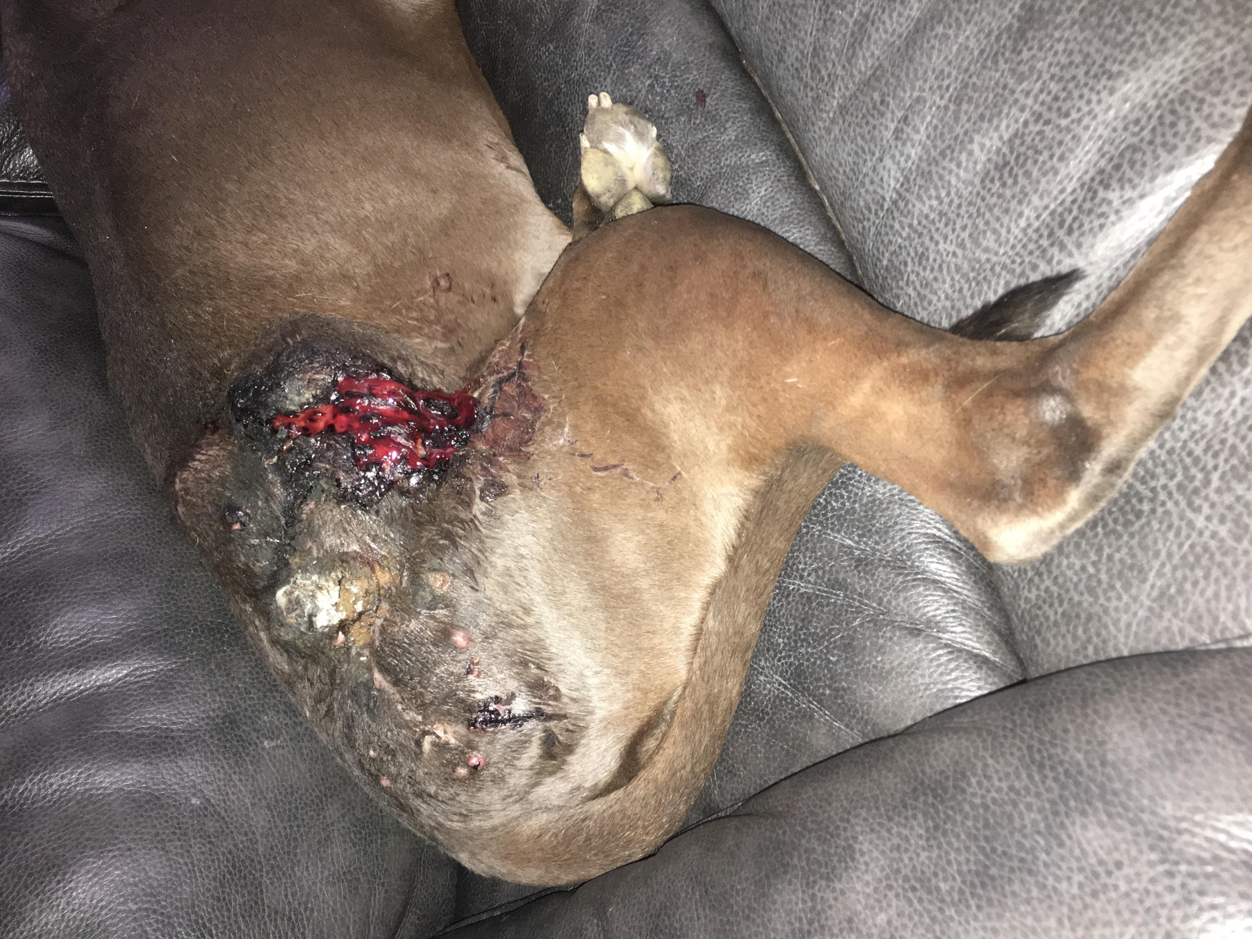 Question details sensitive content