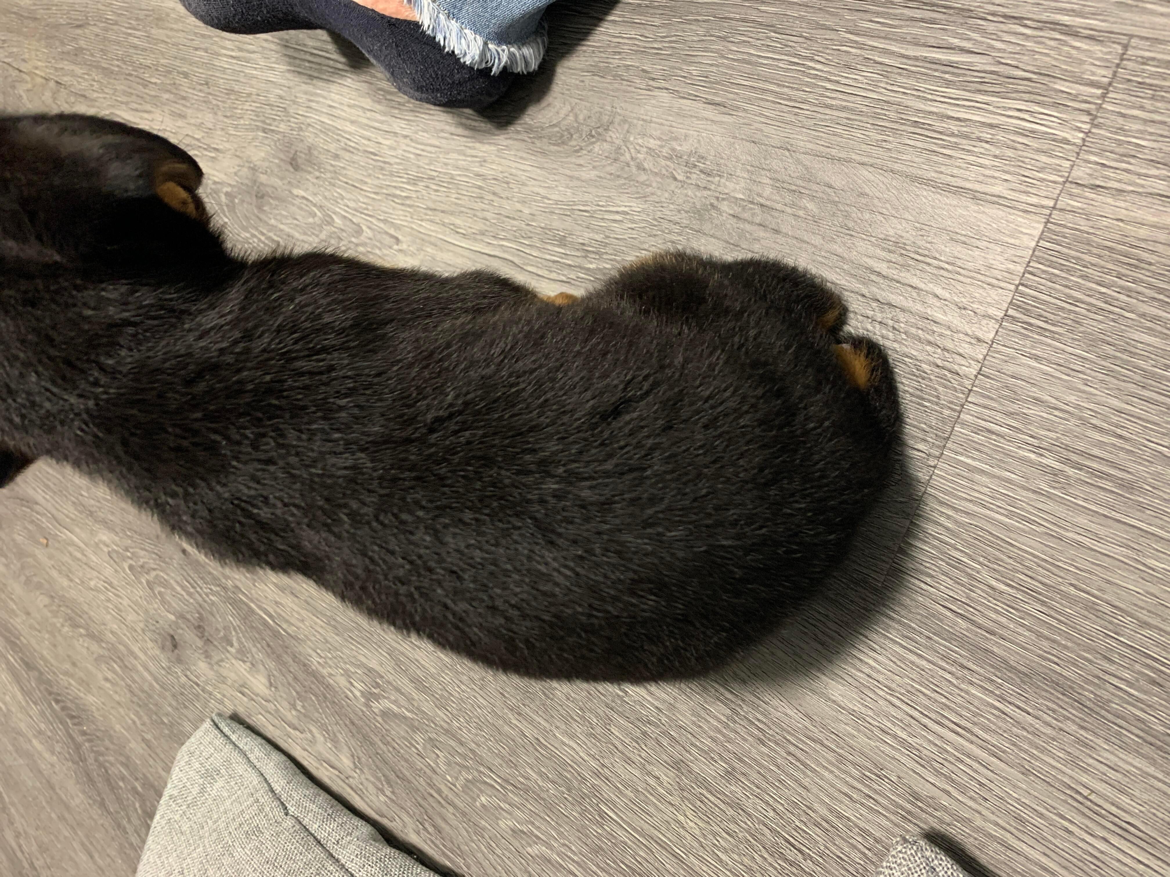 Question details sensitive content