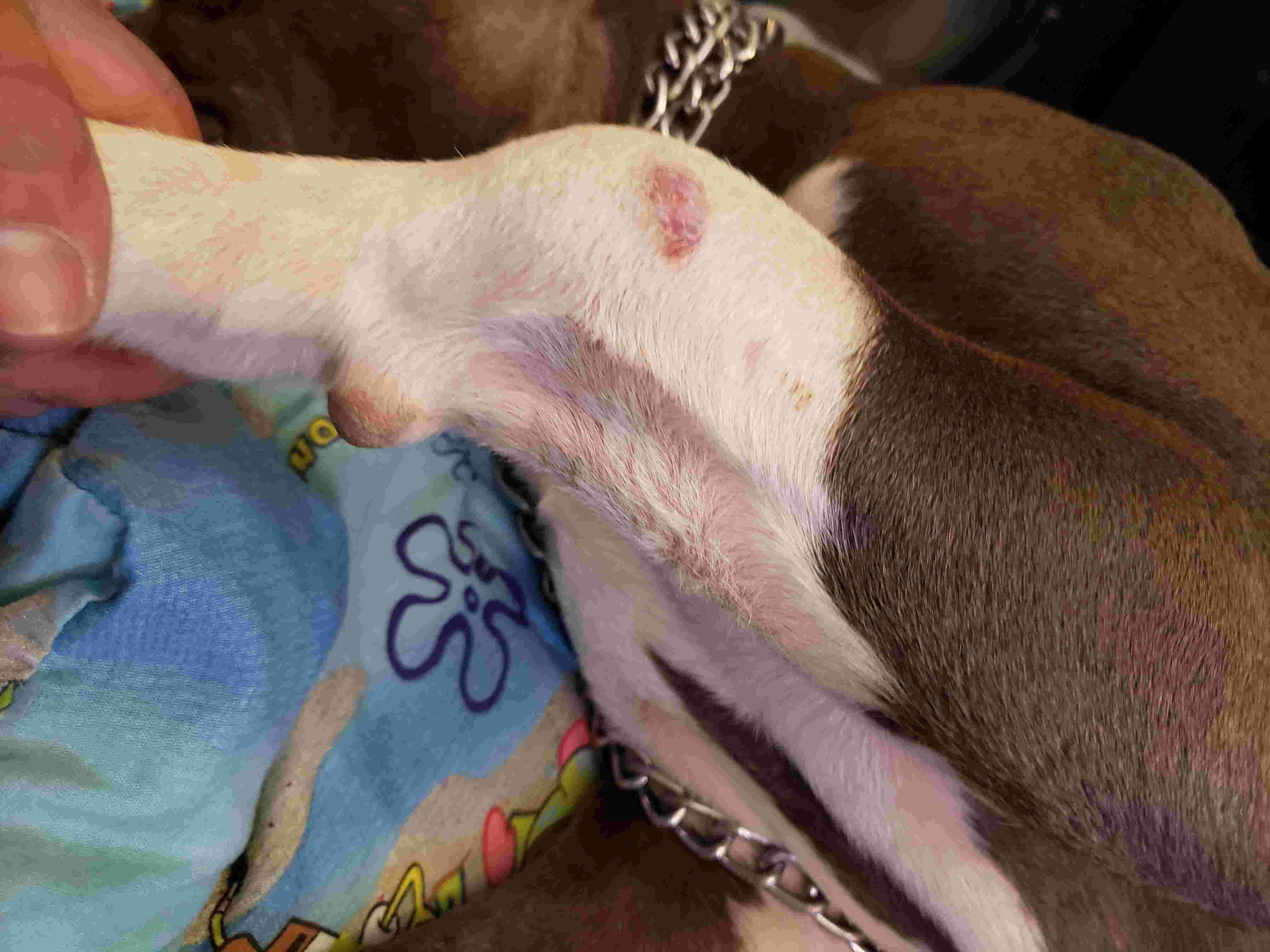 Question details sensitive content