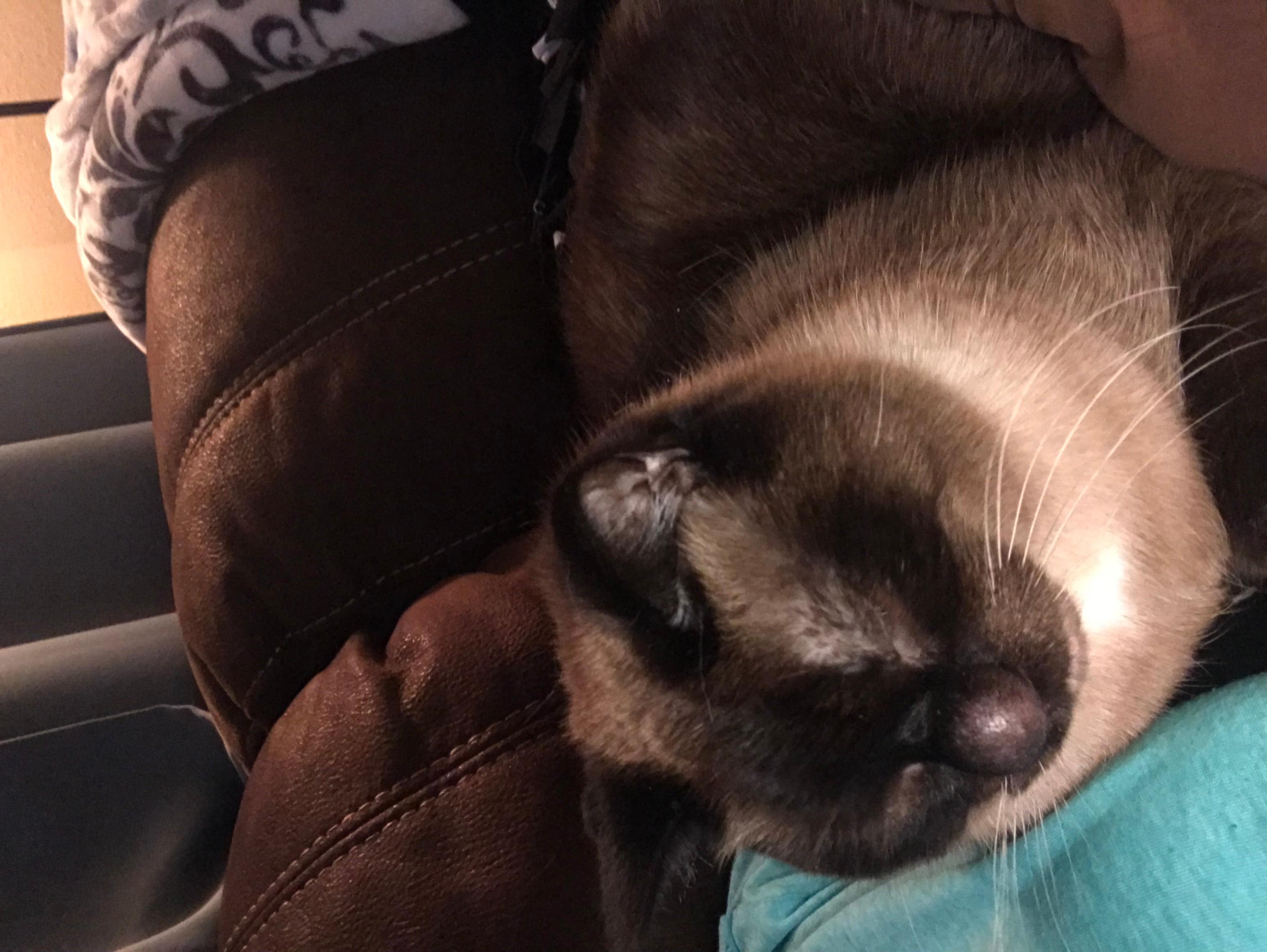 Question details sensitive content