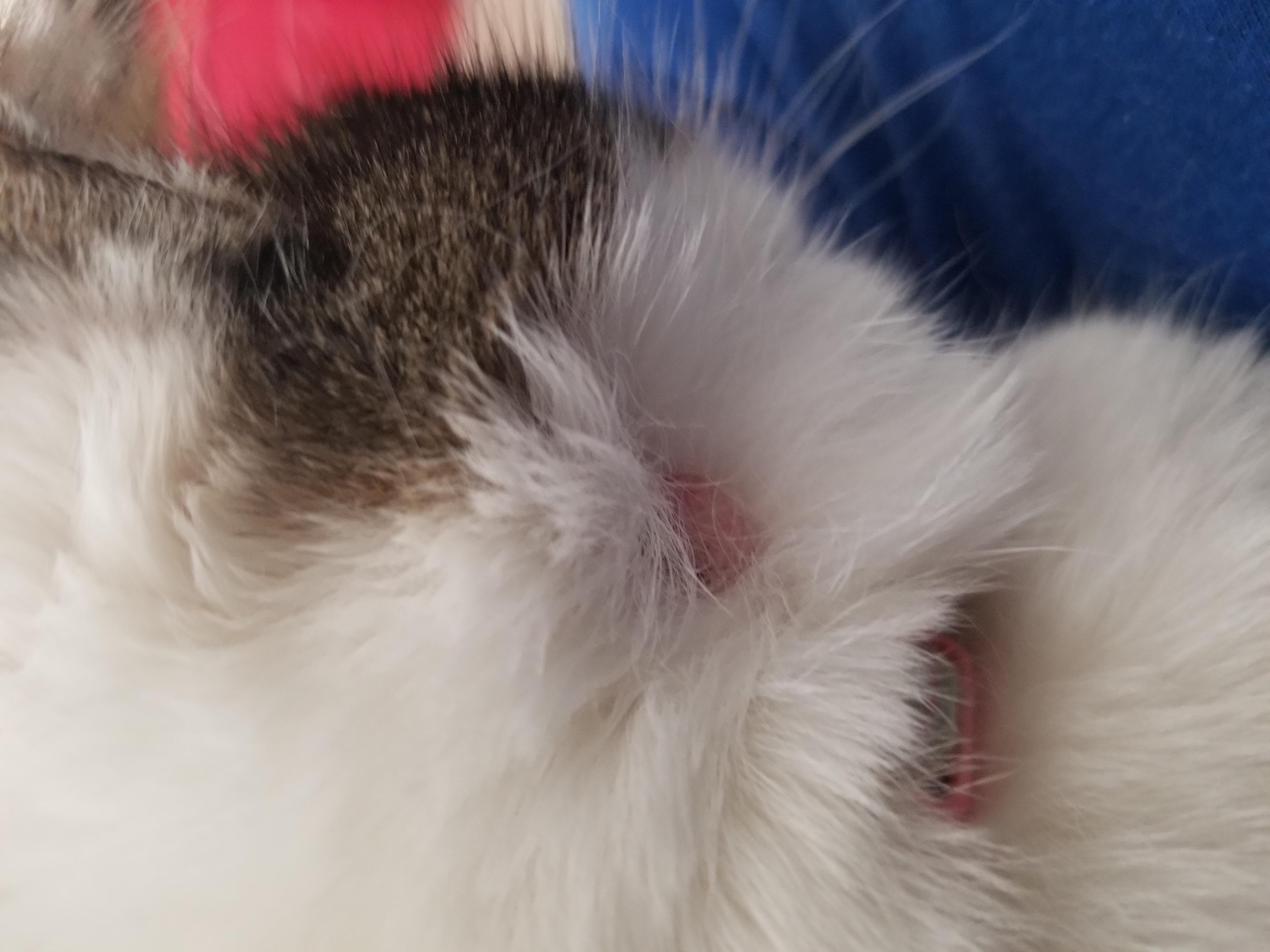 Question details sensitive content