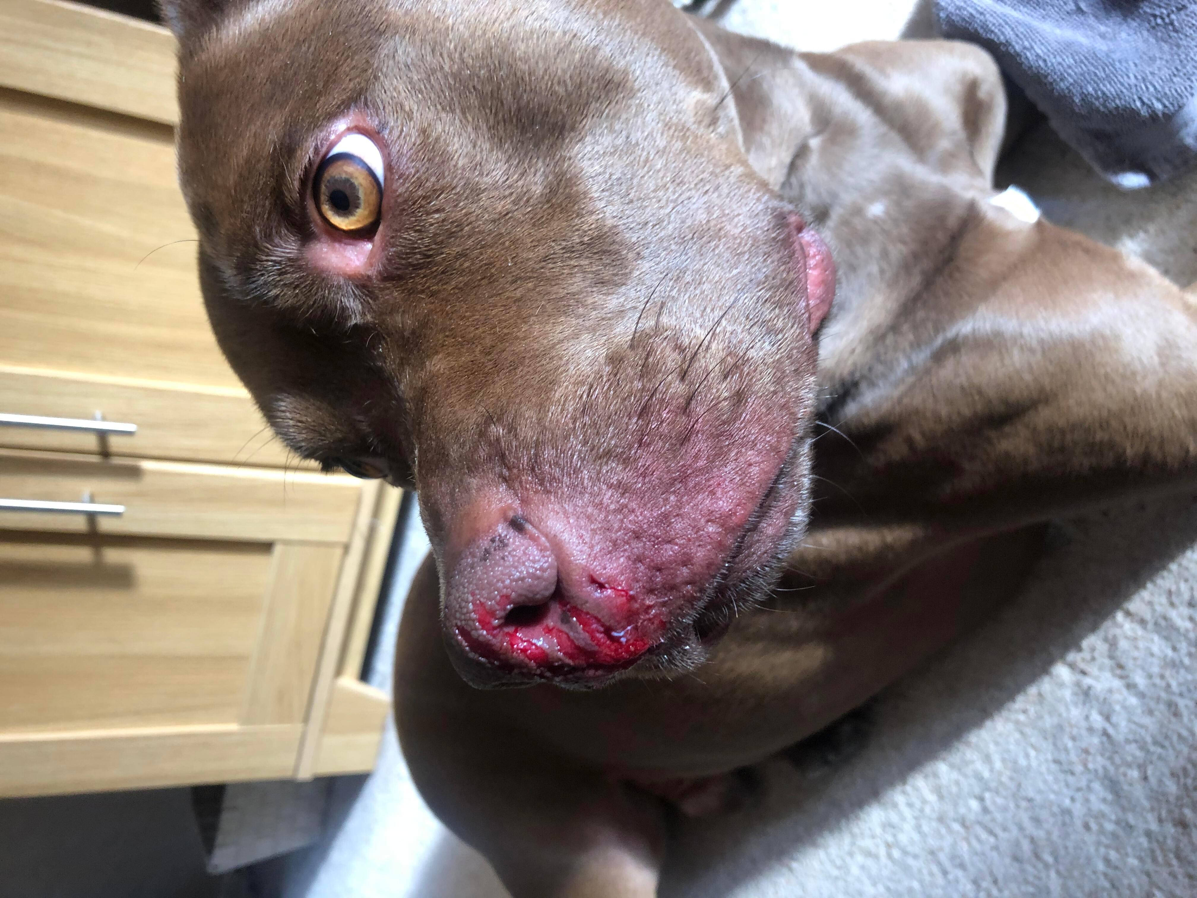 Question details sensitive content