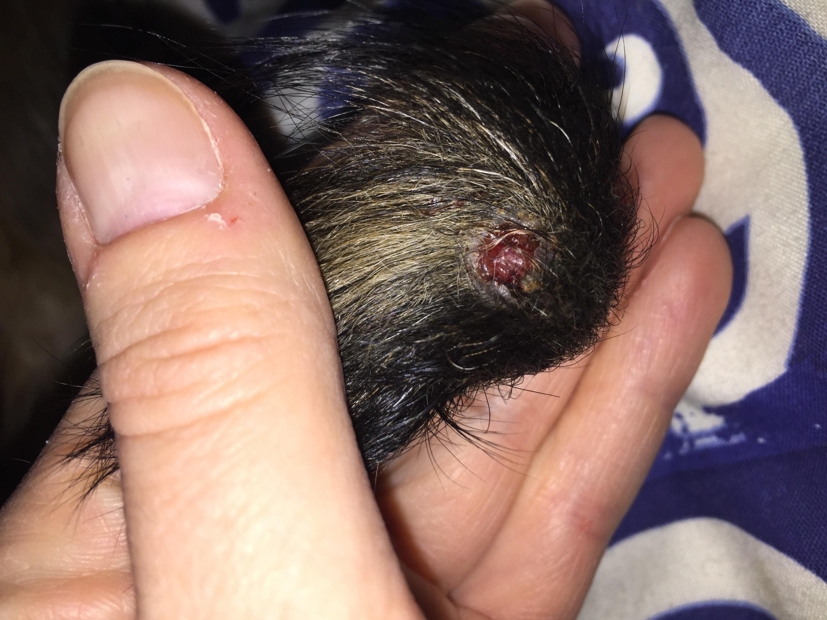 Question details sensitive content