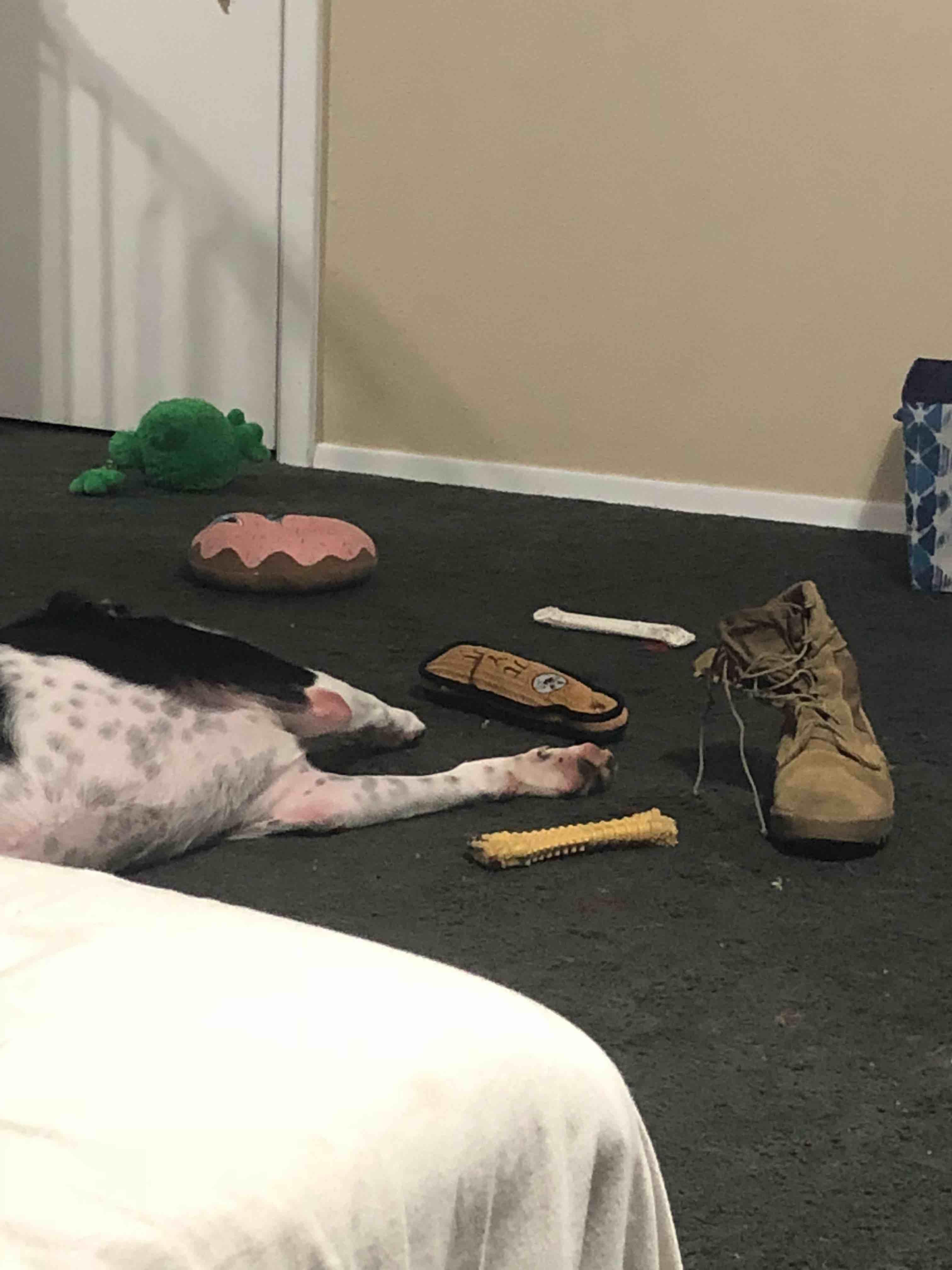 Question details sensitive content