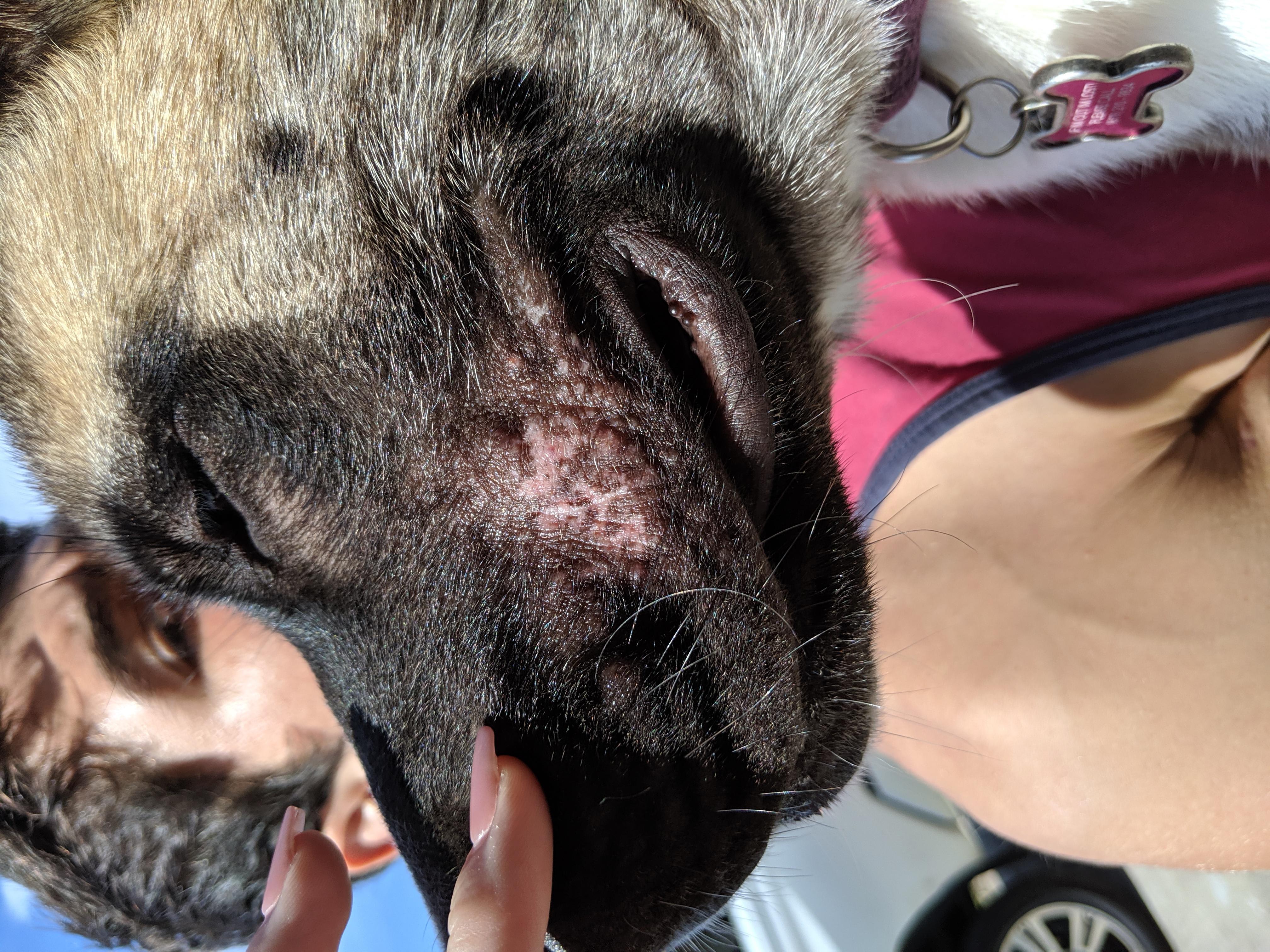 Question details sensitive content