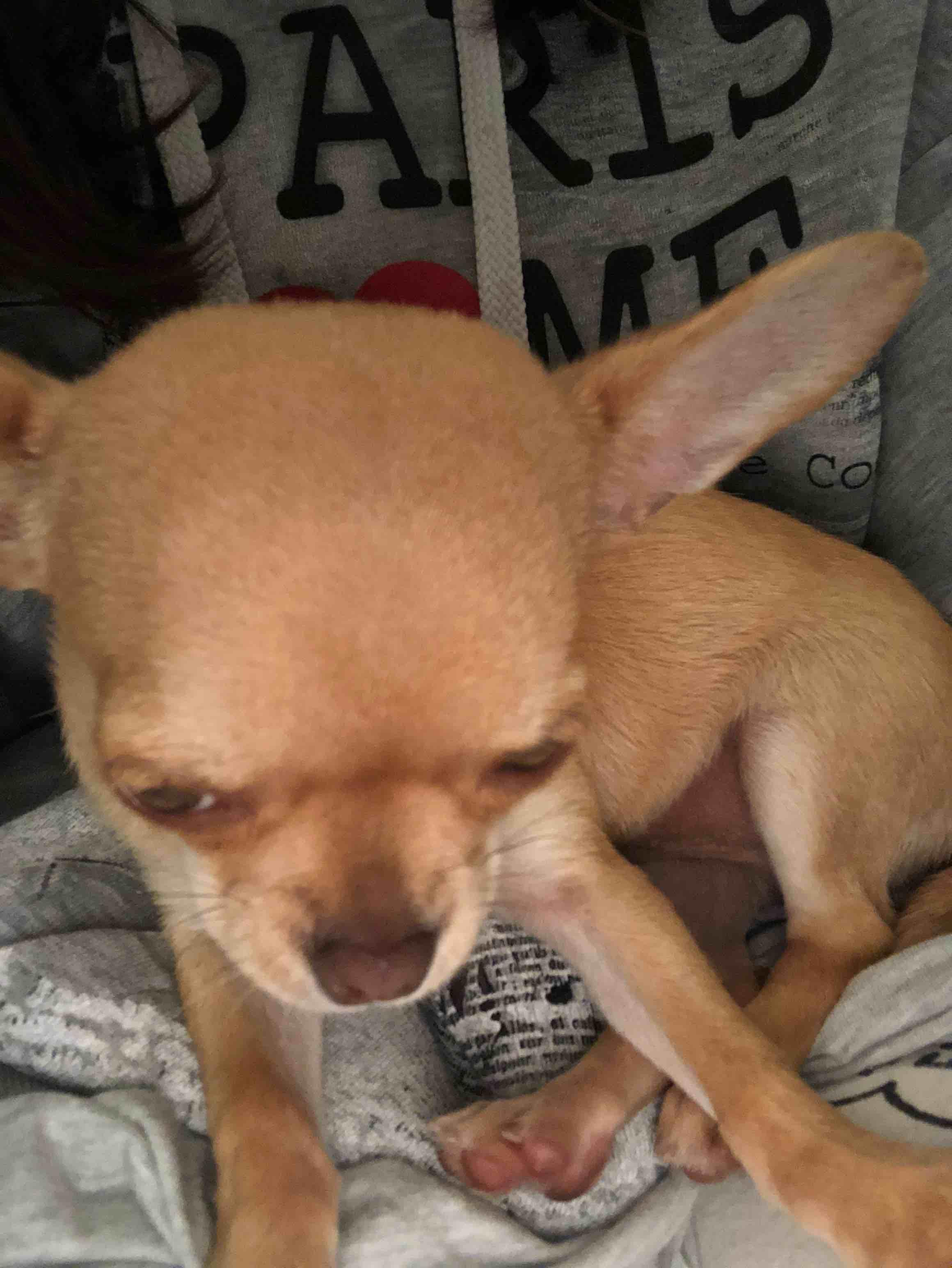 Question details sensitive content