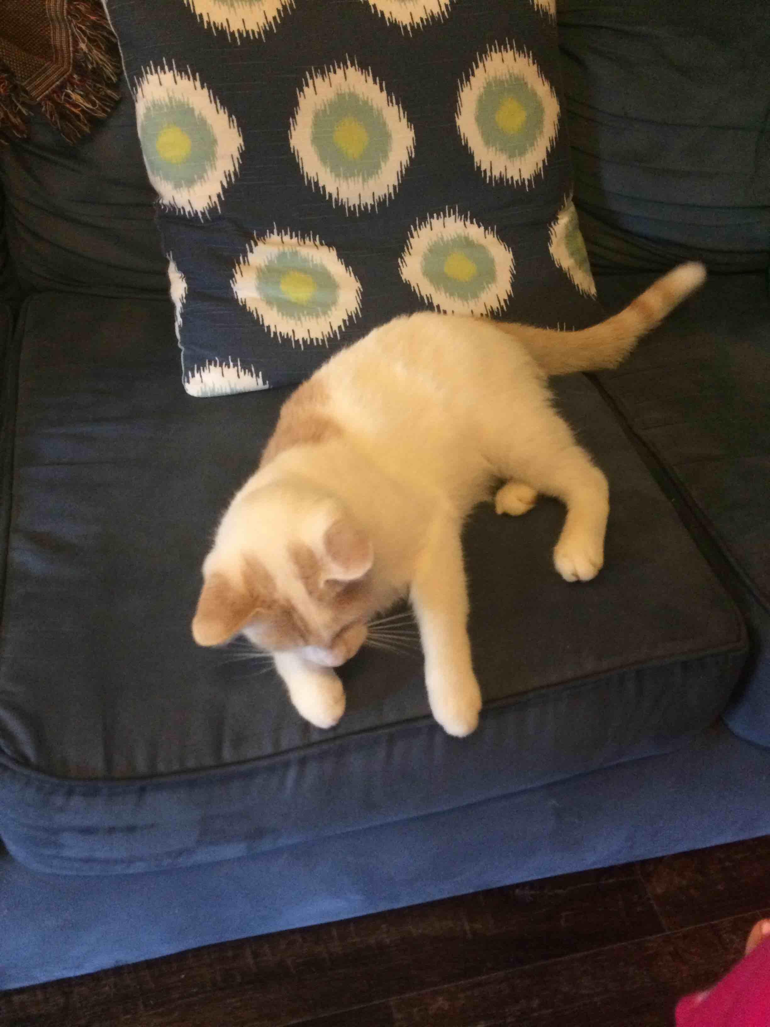 Question details sensitive content