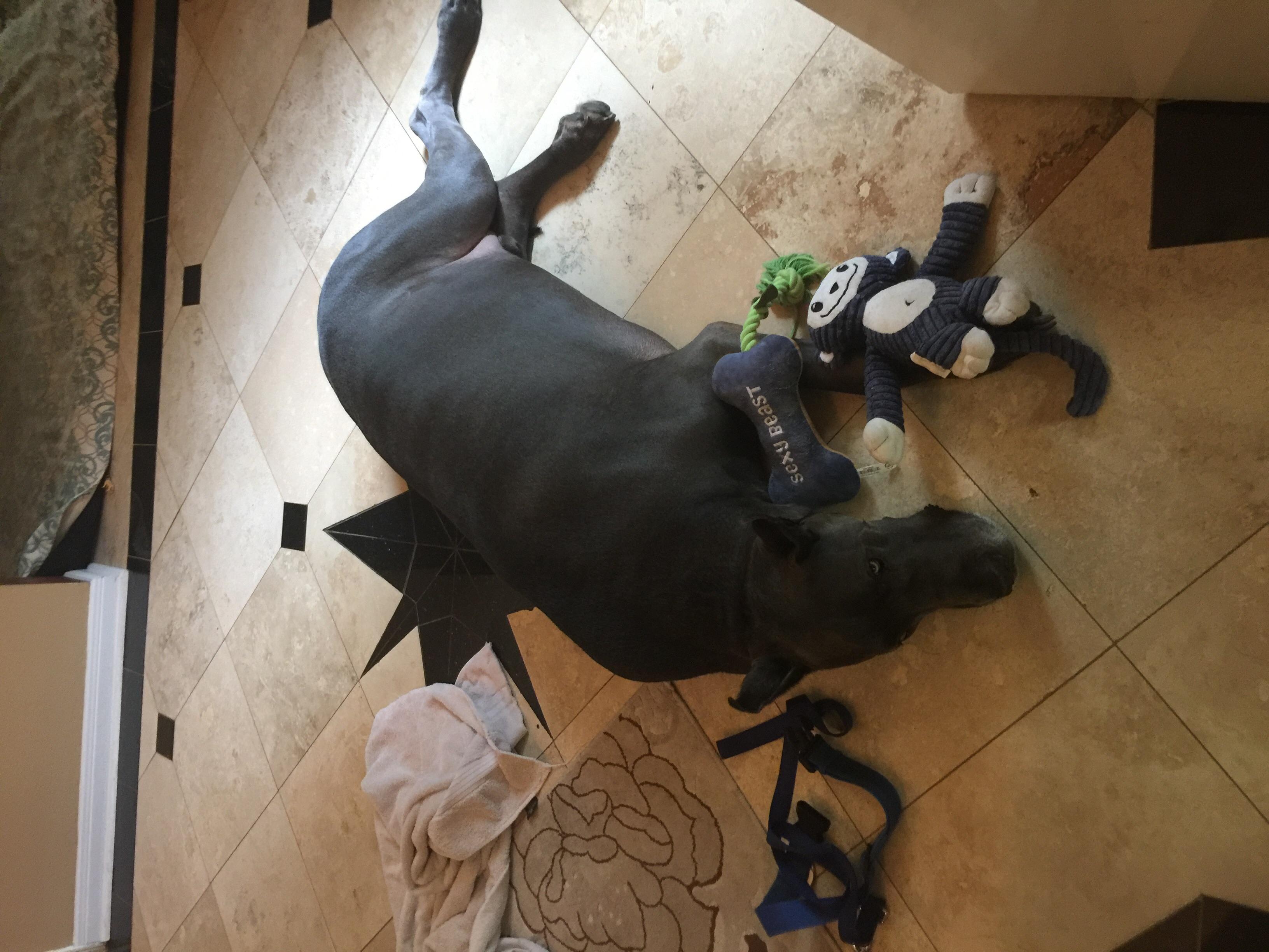 Question details sensitive content