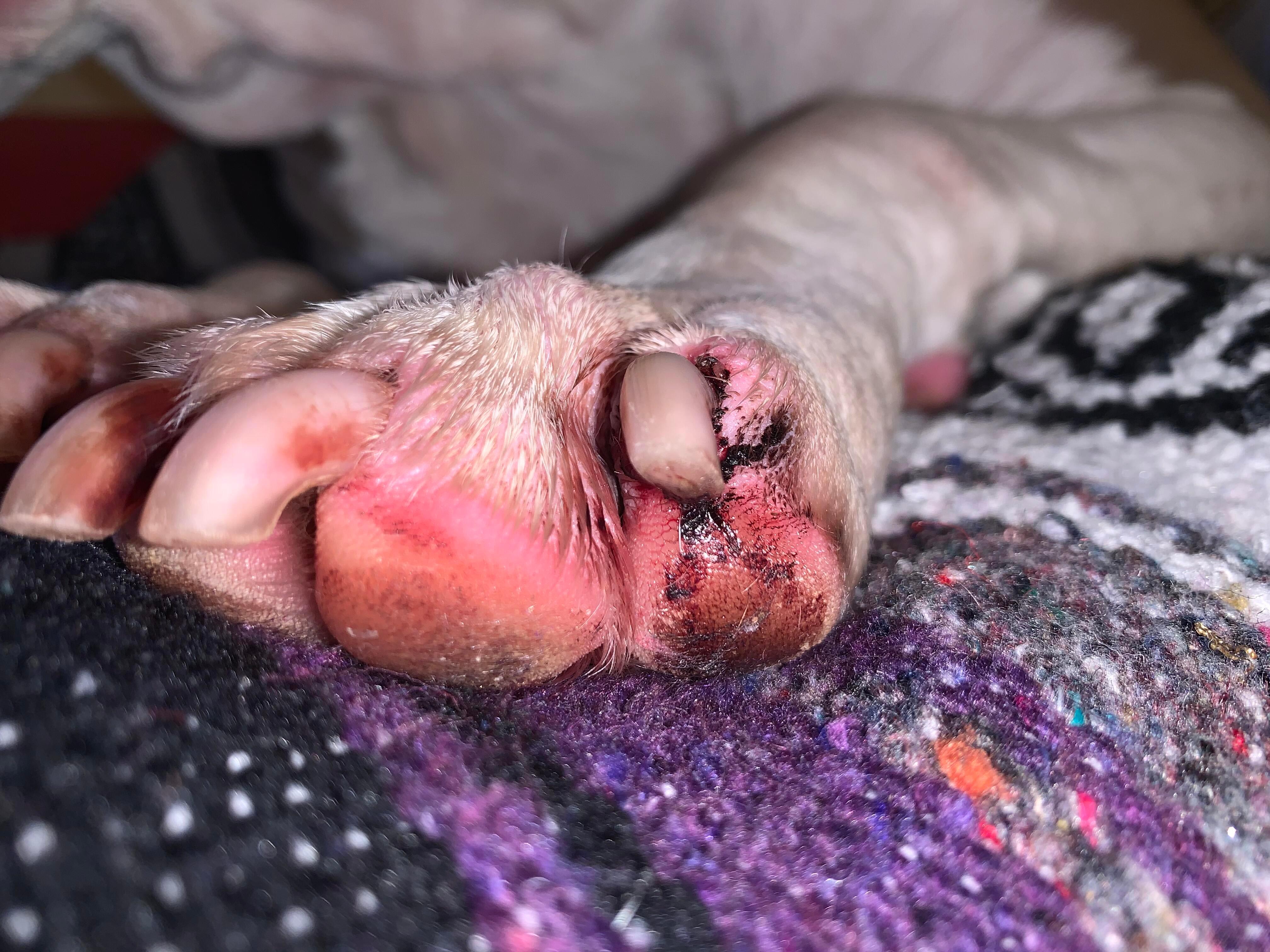 Question details sensitive content