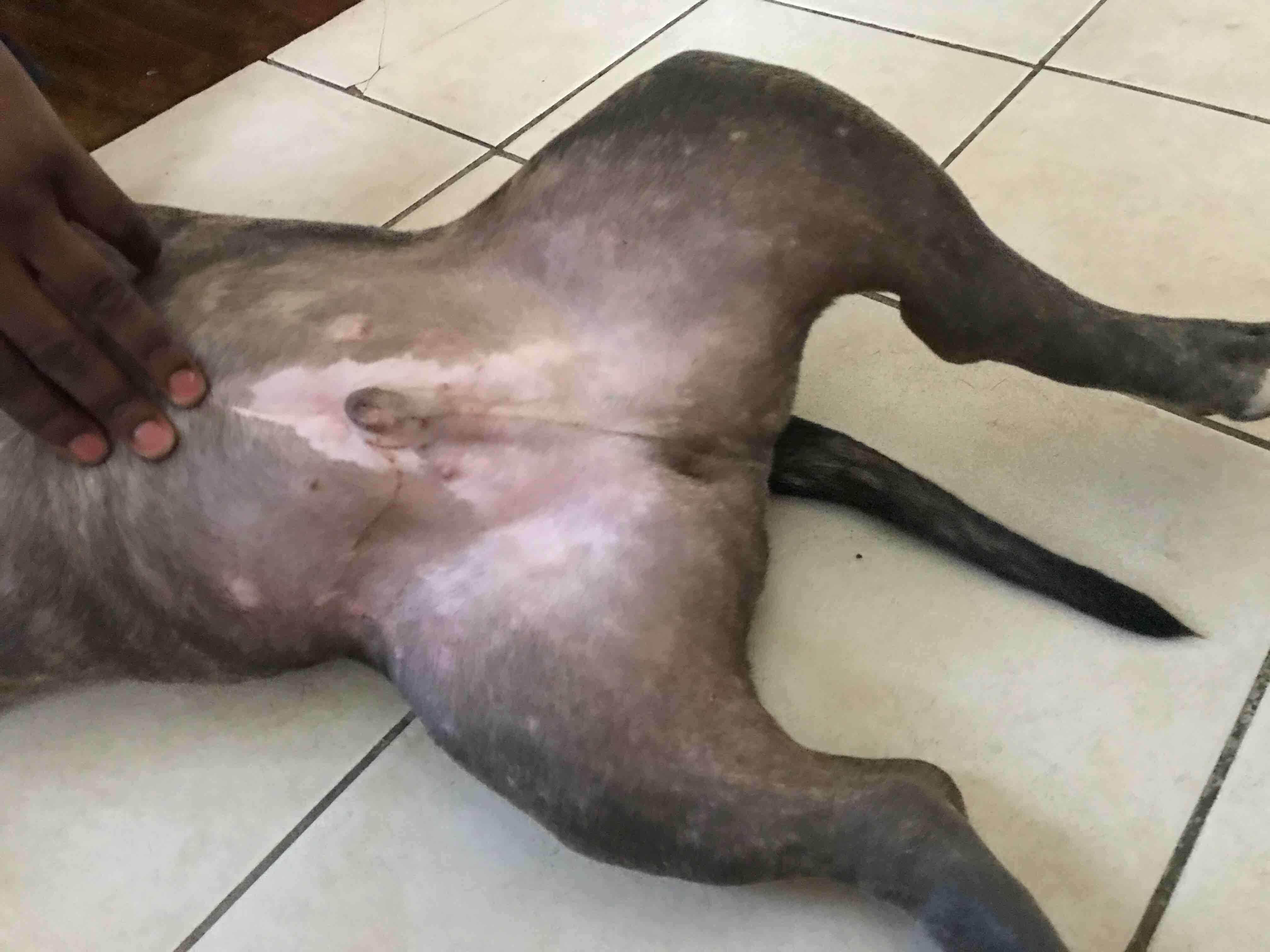 Question details sensitive content