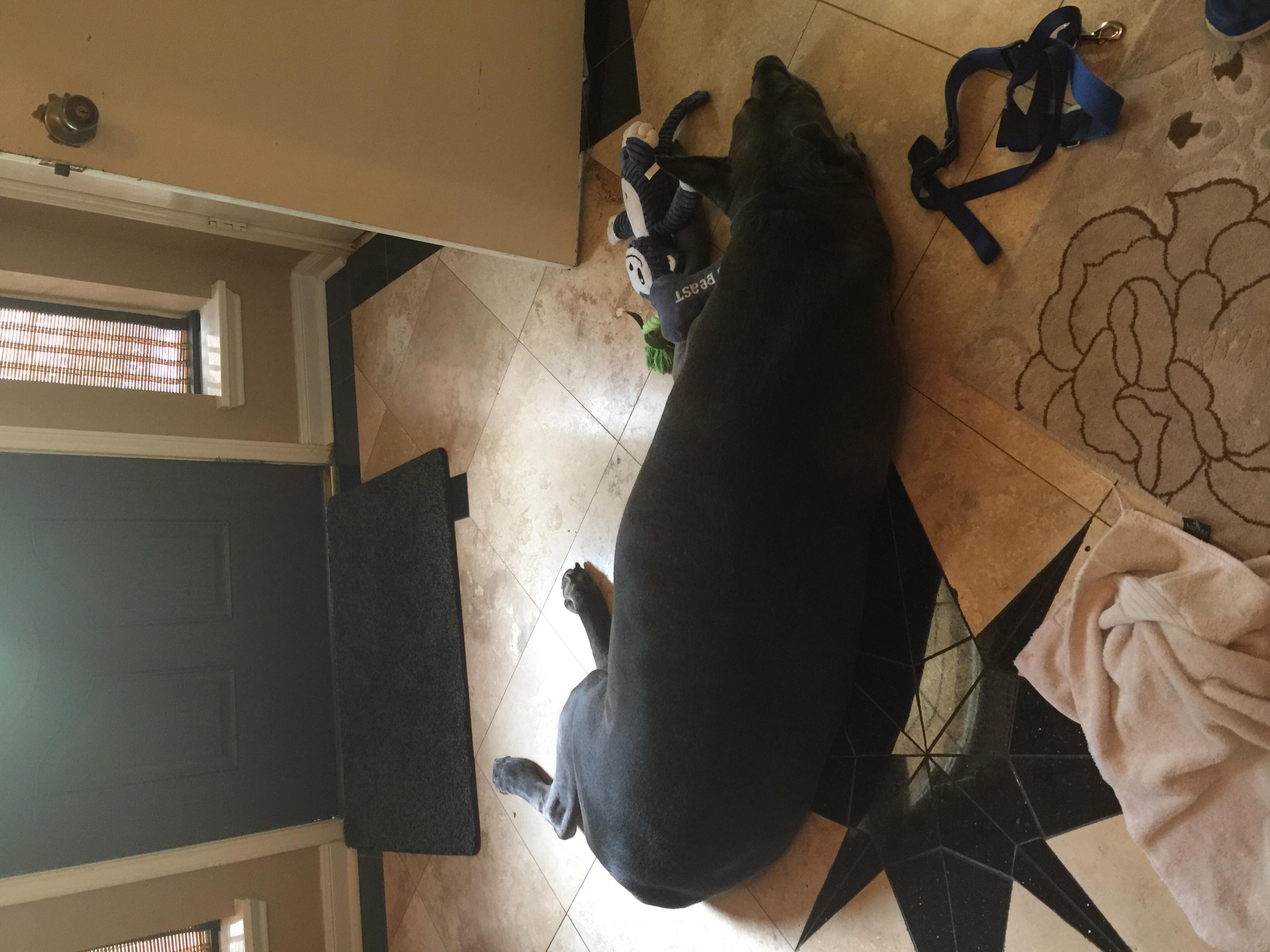 Question details sensitive content