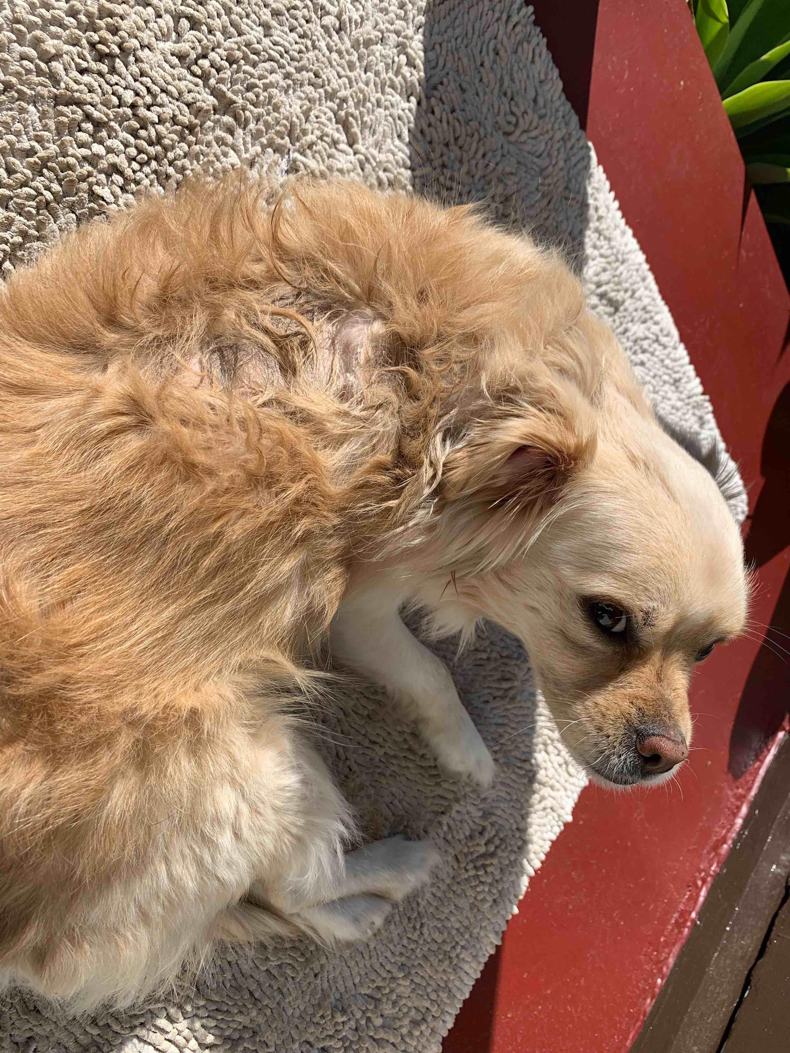 Question details sensitive content