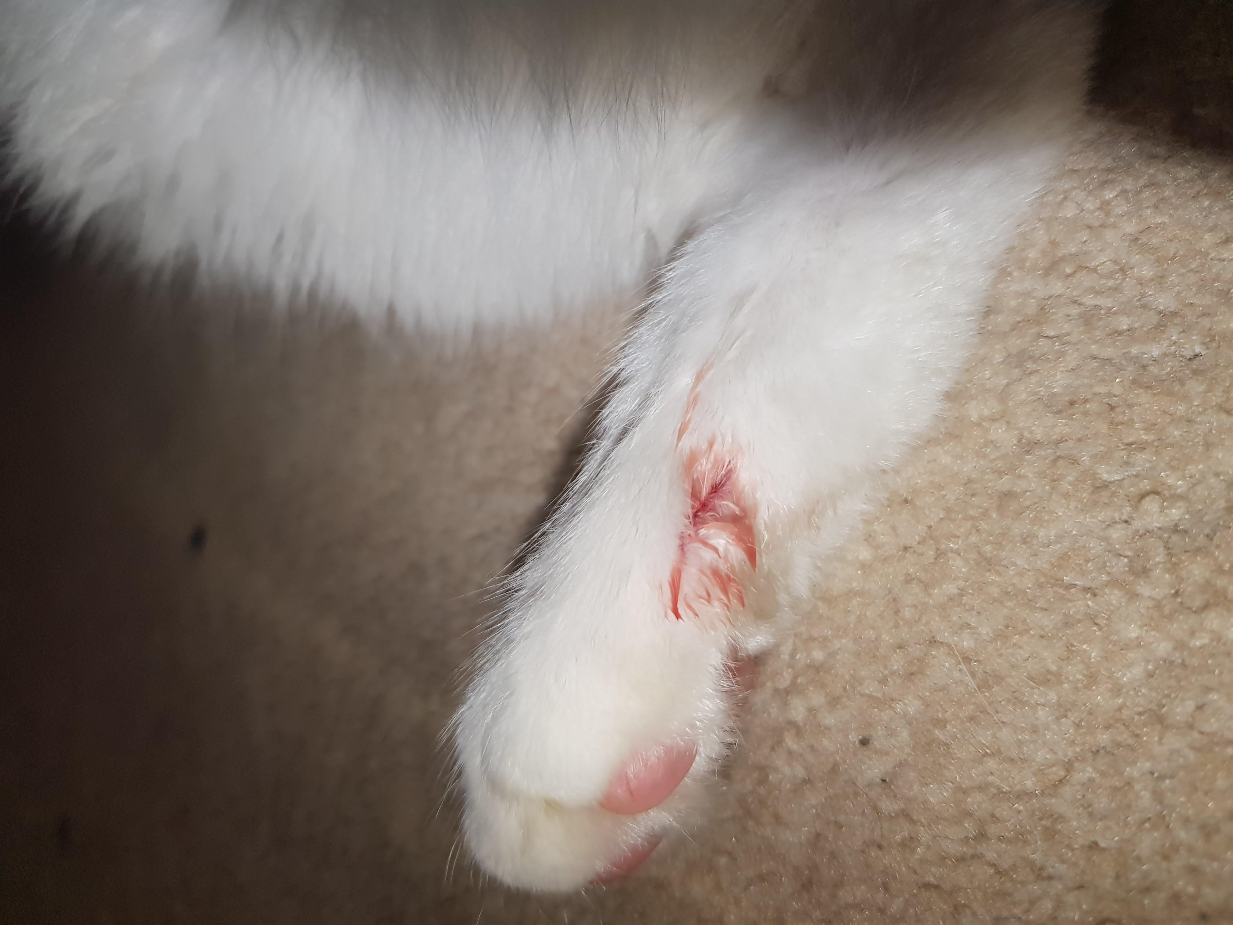 Question details sensitive content