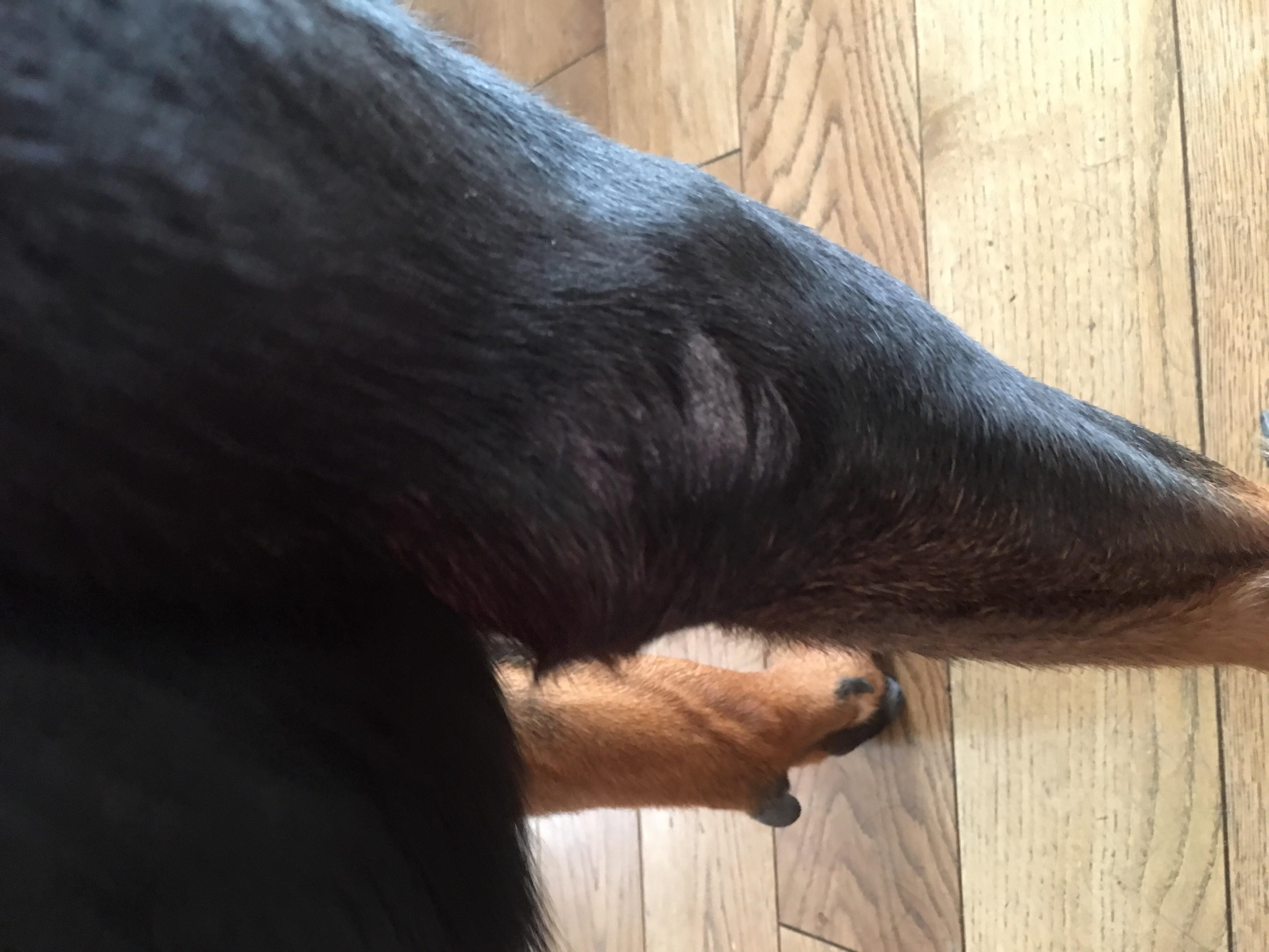 Question details sensitive content