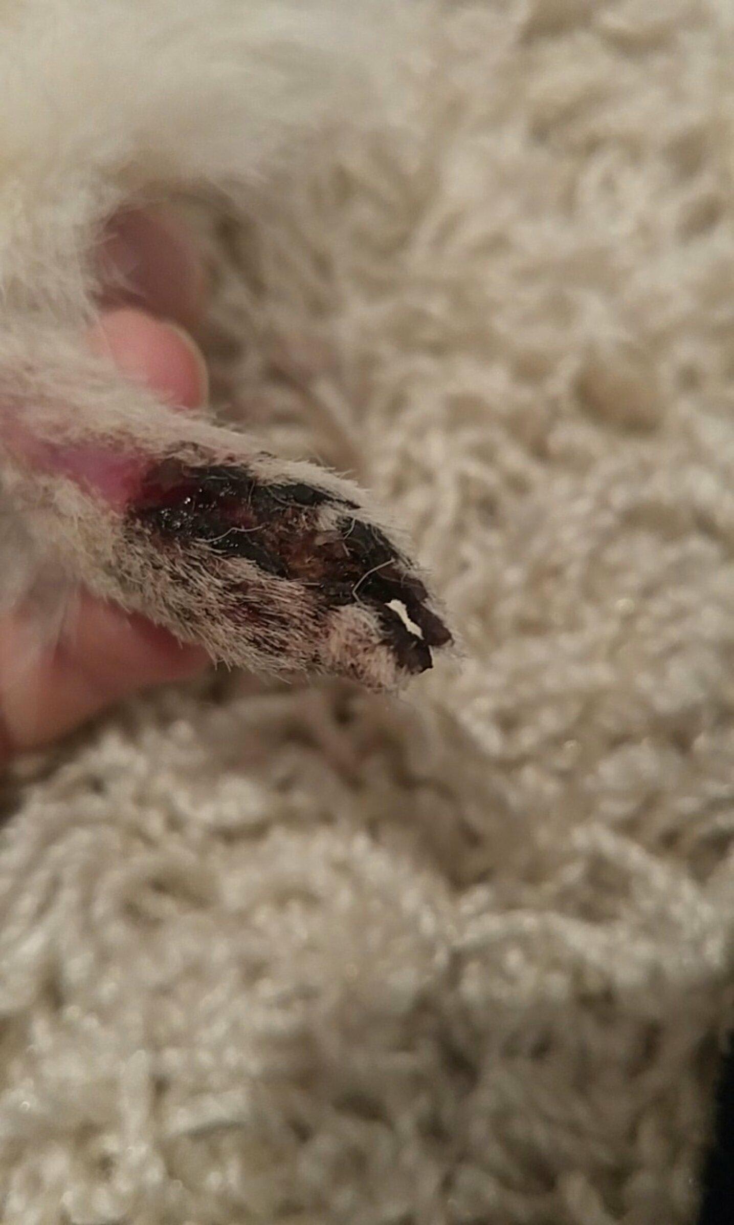 Question details sensitive content