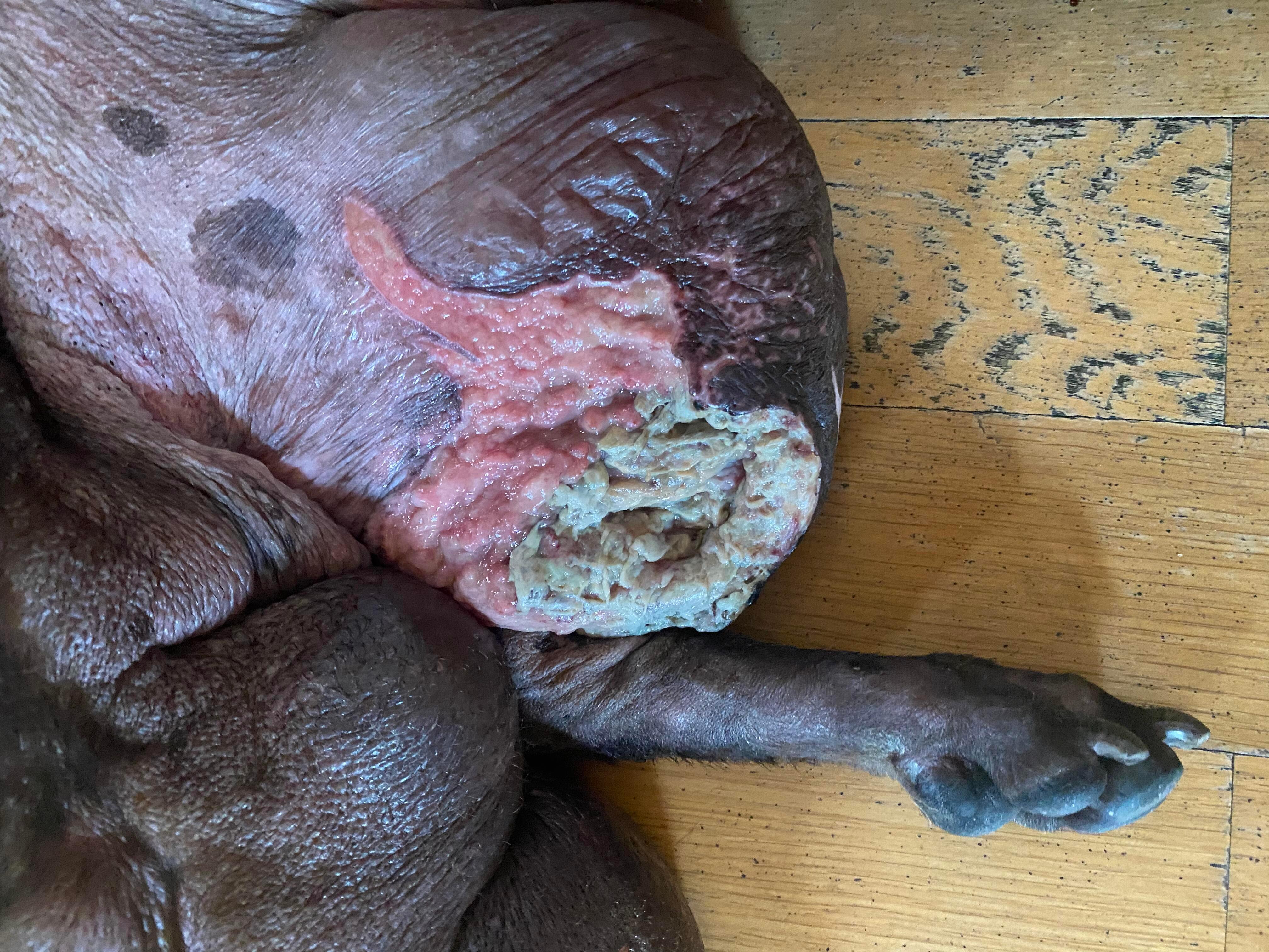 Question details sensitive content