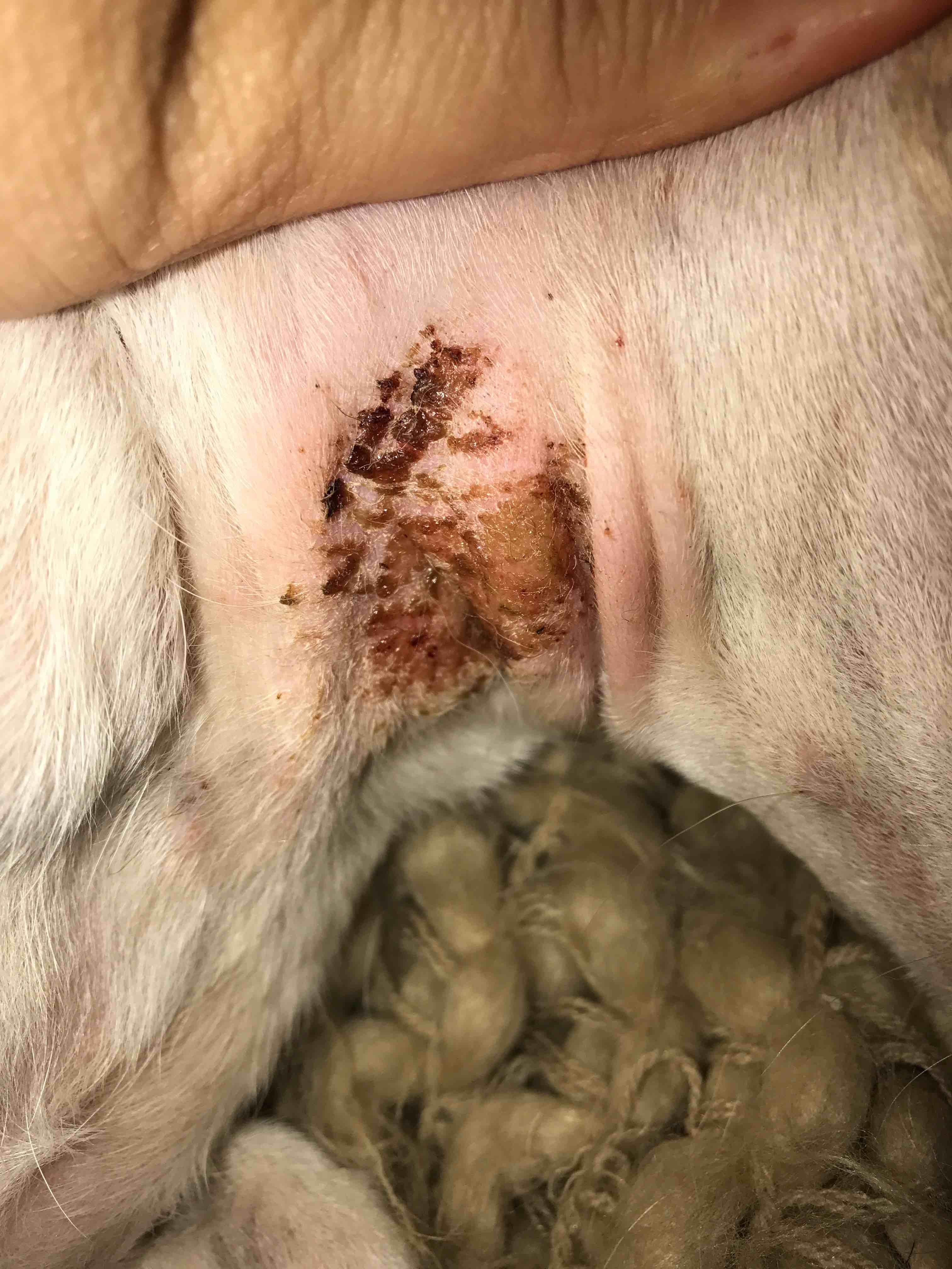 Question details sensitive content