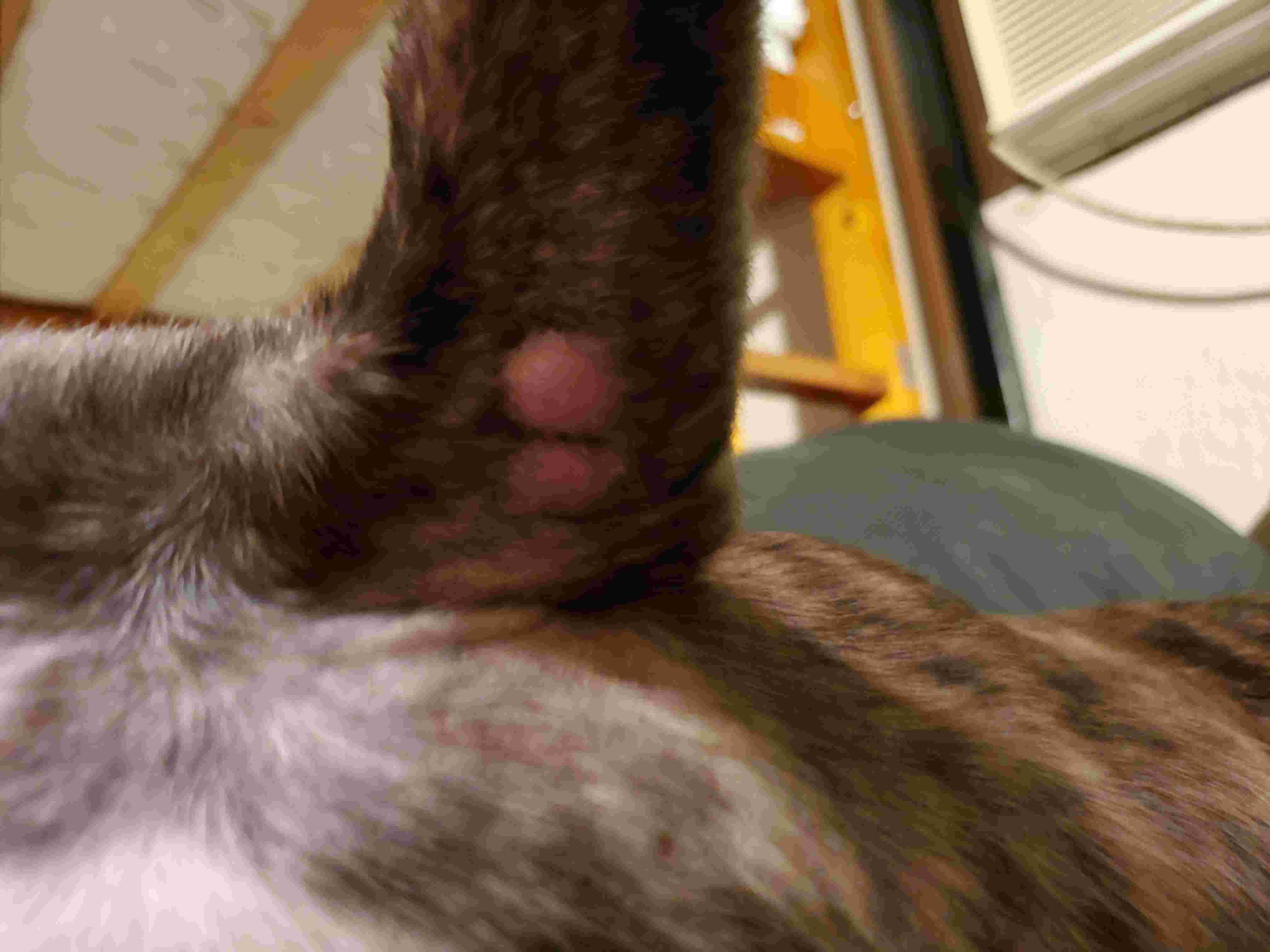 Question details sensitive content