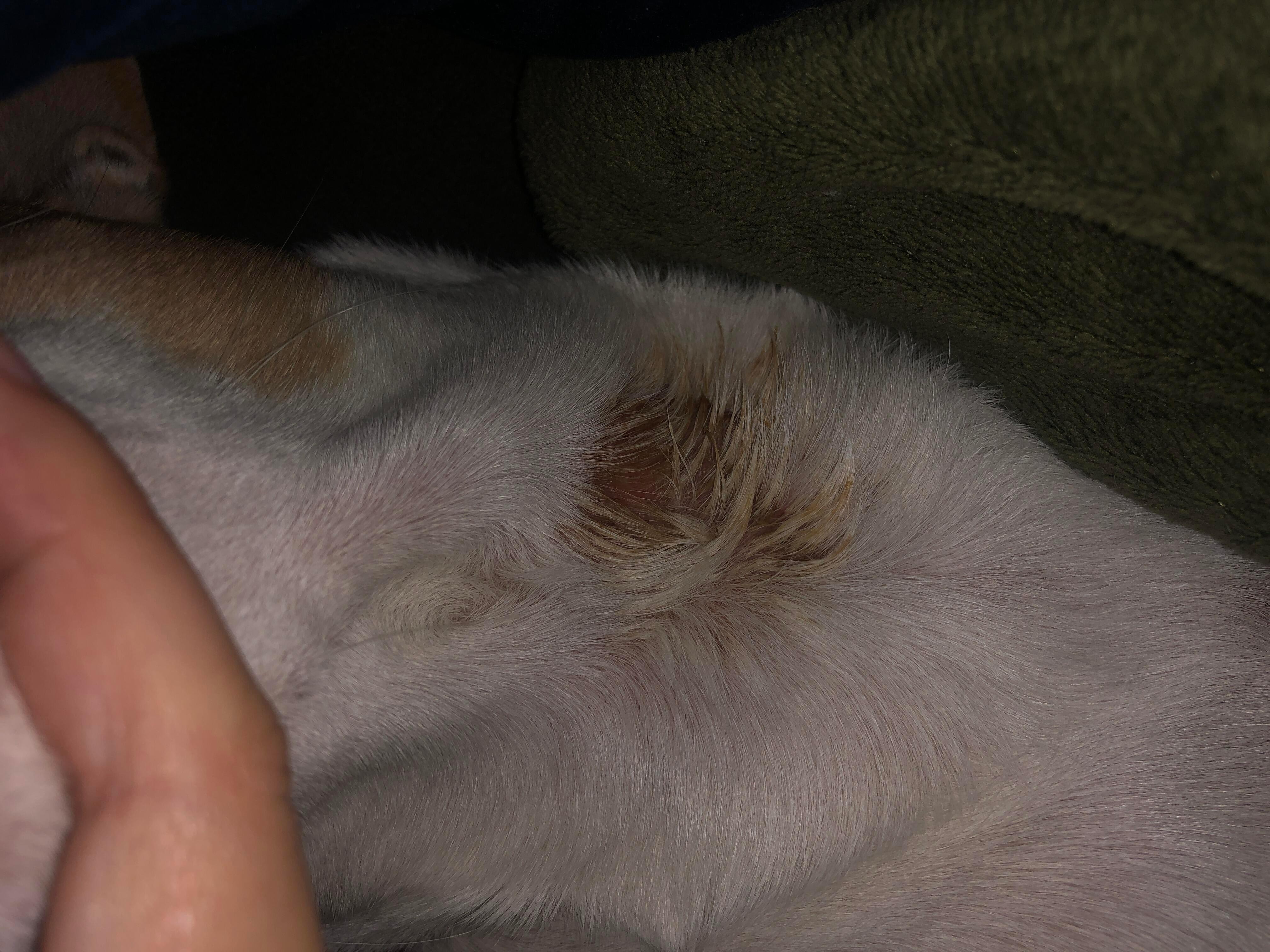 Question details sensitive content