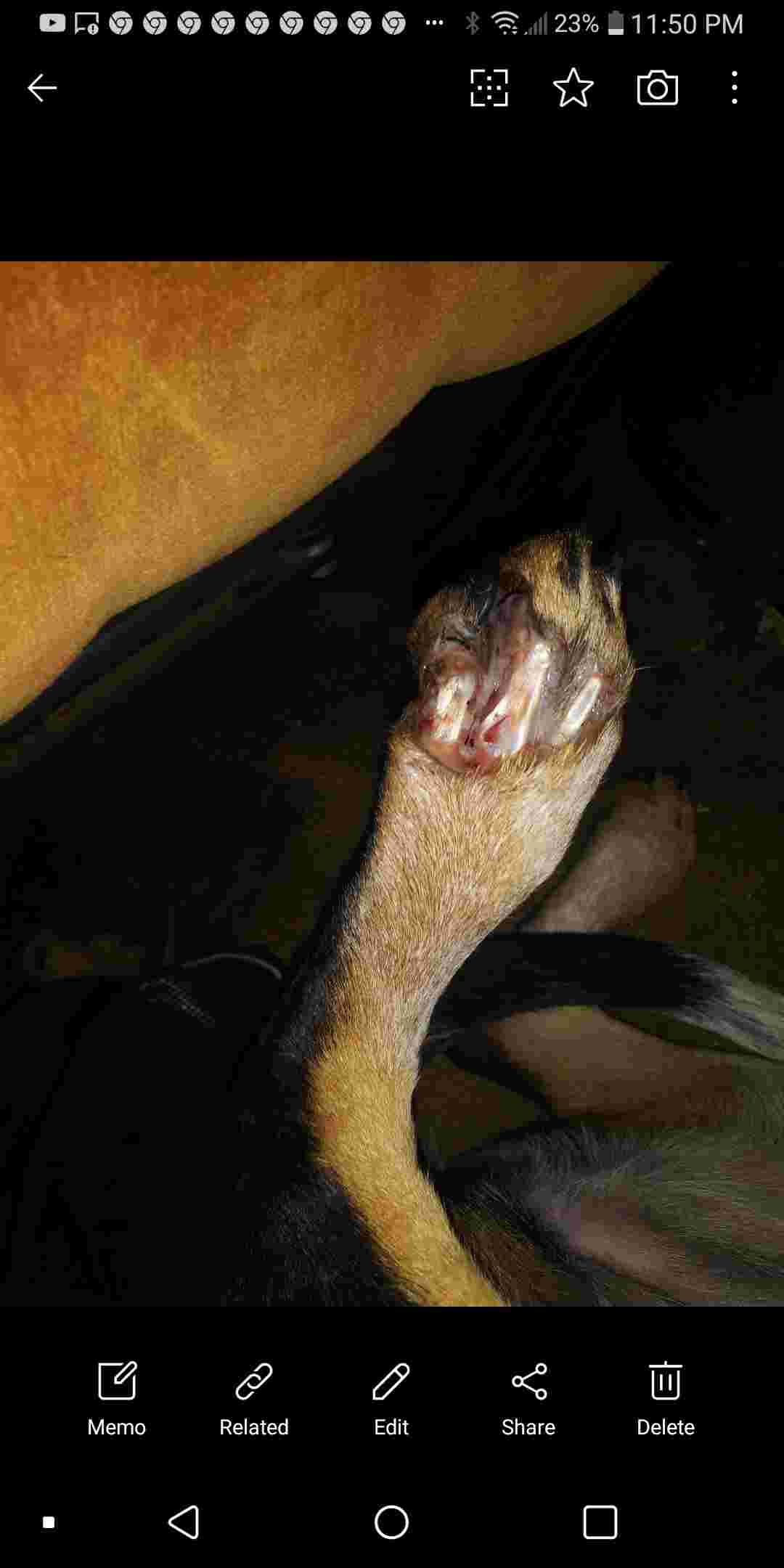 Question details sensitive content