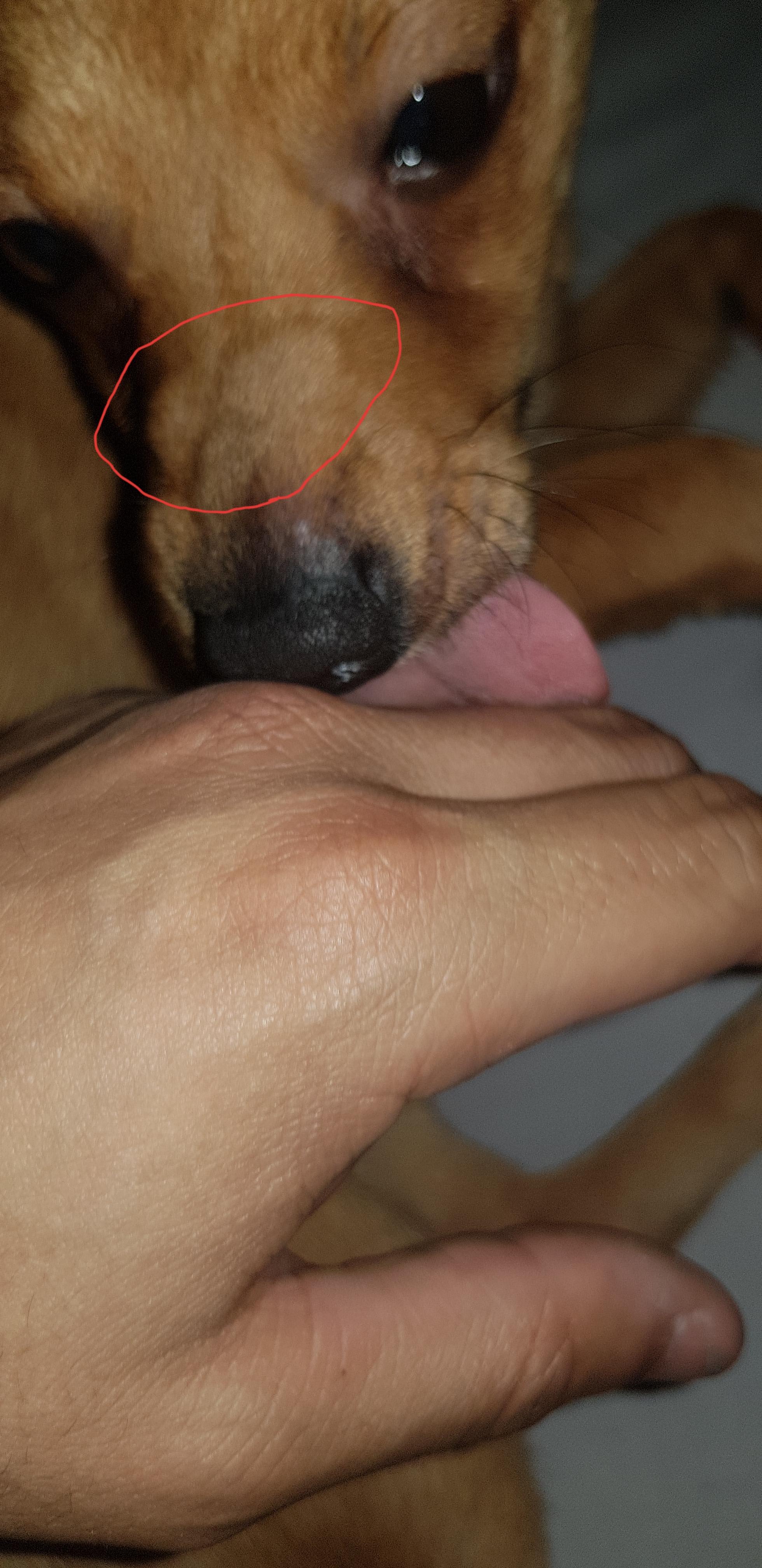 Question details sensitive content