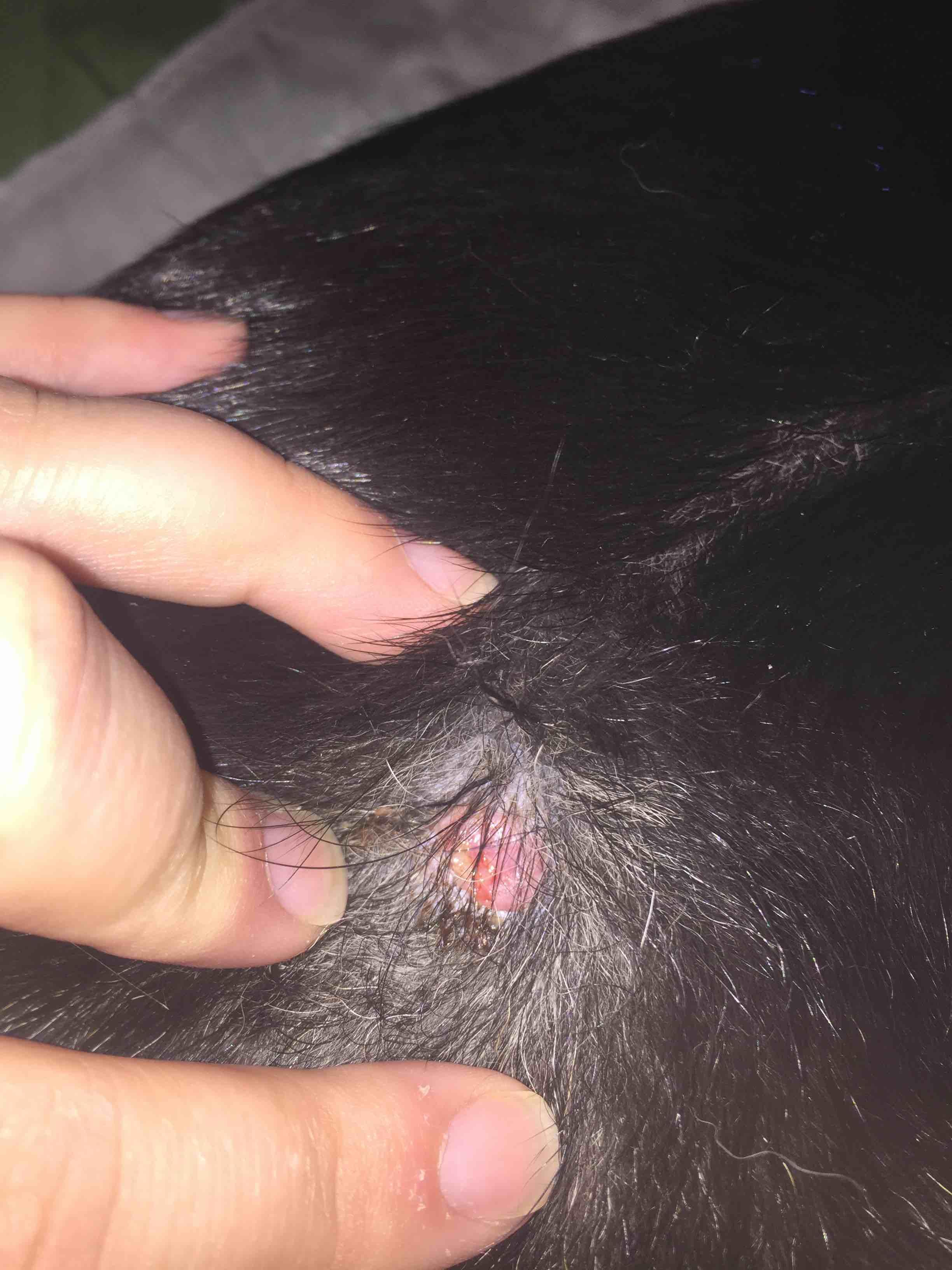 Question details sensitive content