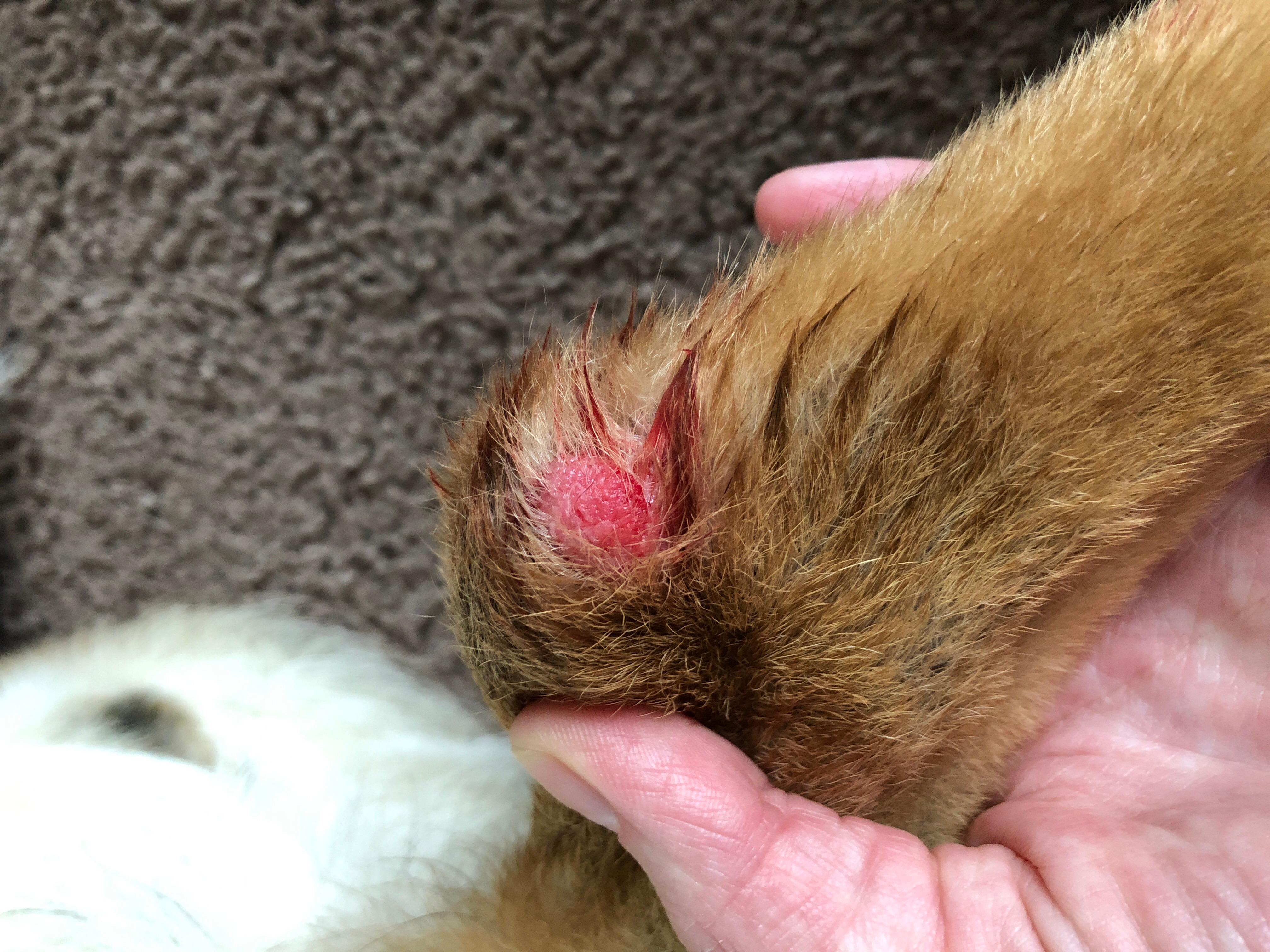 Question details sensitive content