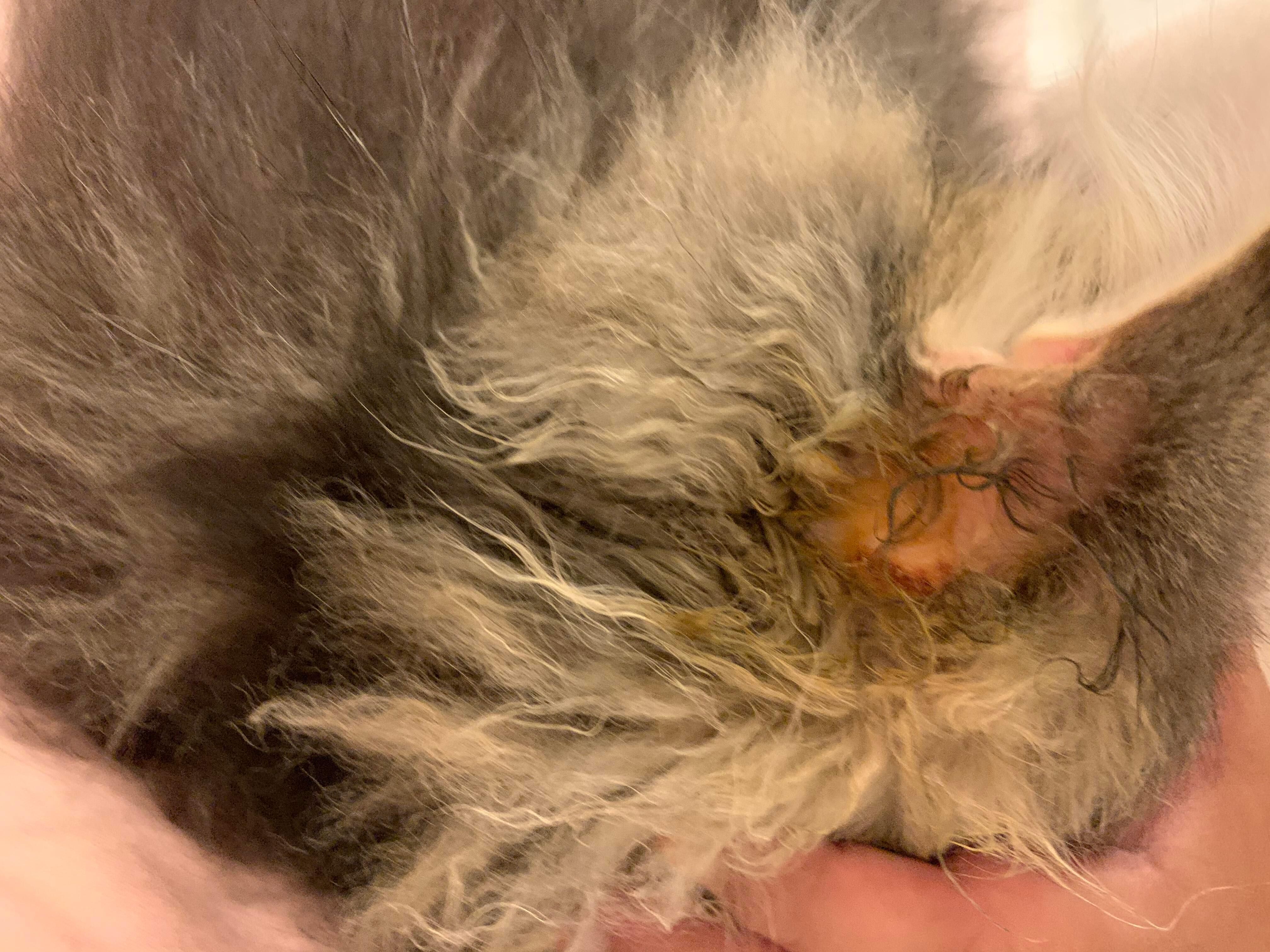 Question details sensitive content