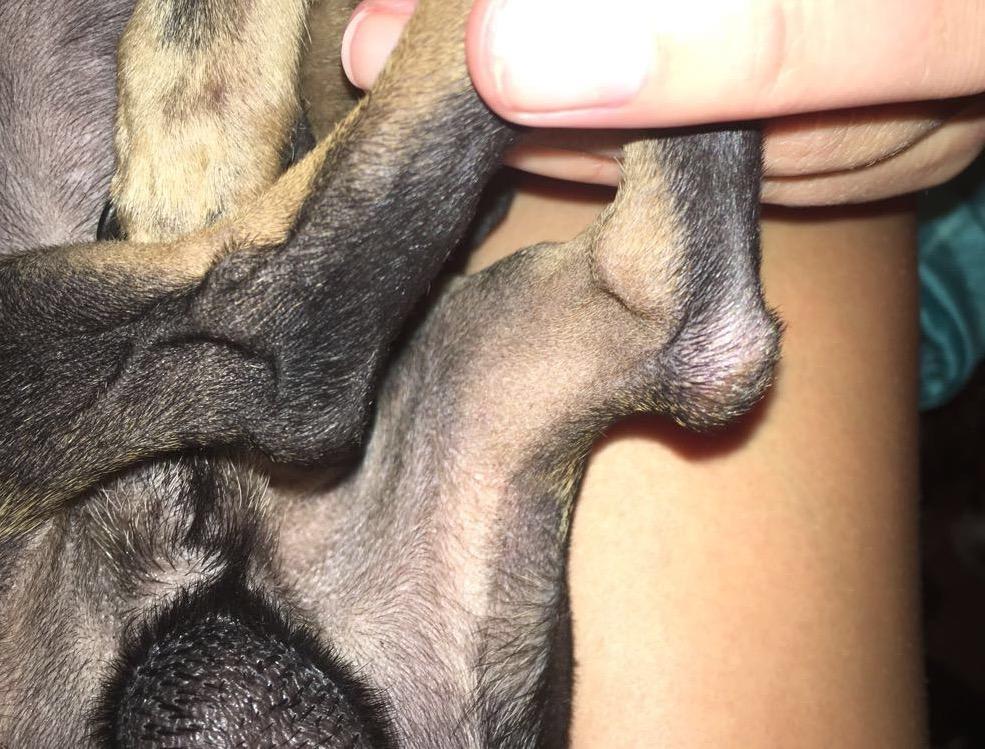 Question details sensitive content