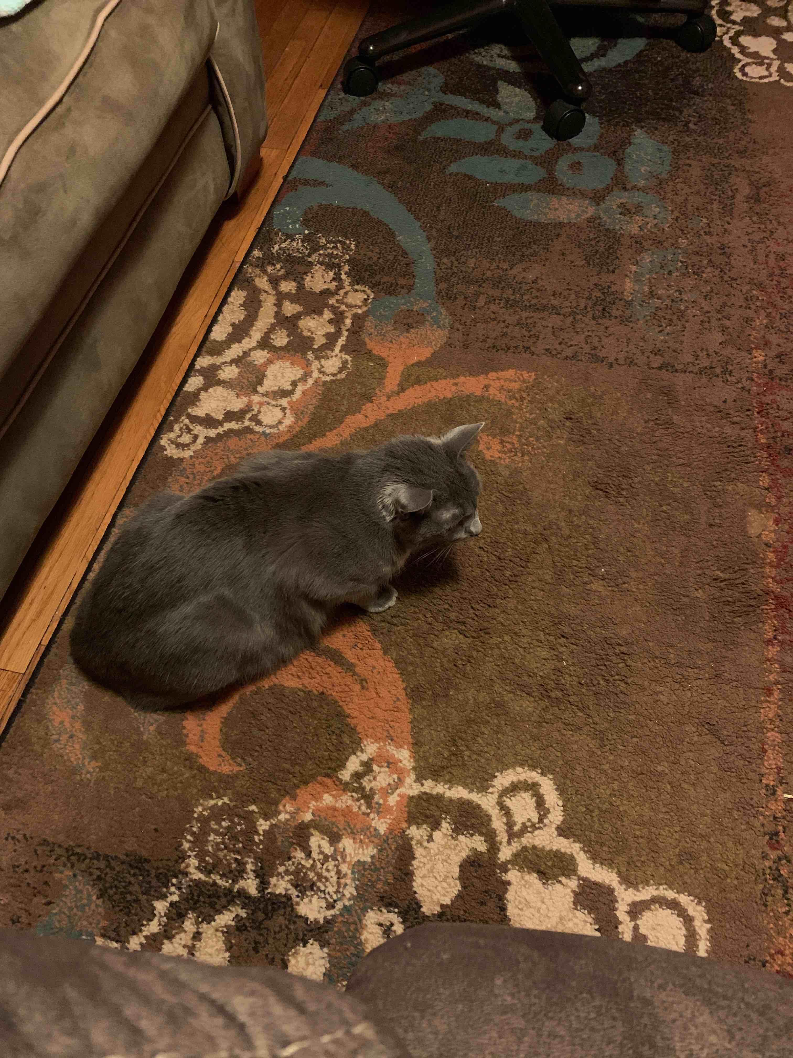 Question details sensitive content