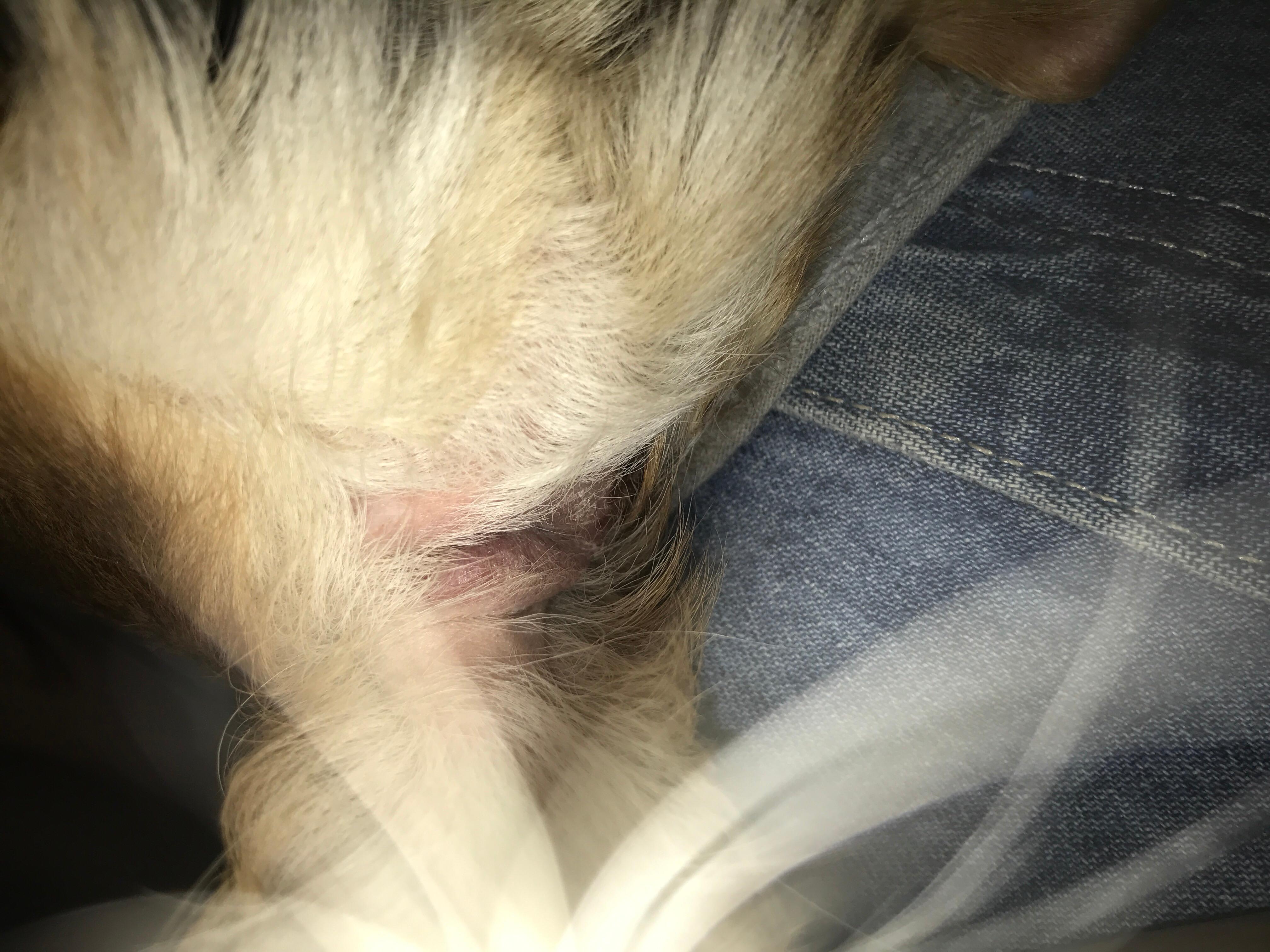 Question details sensitive content