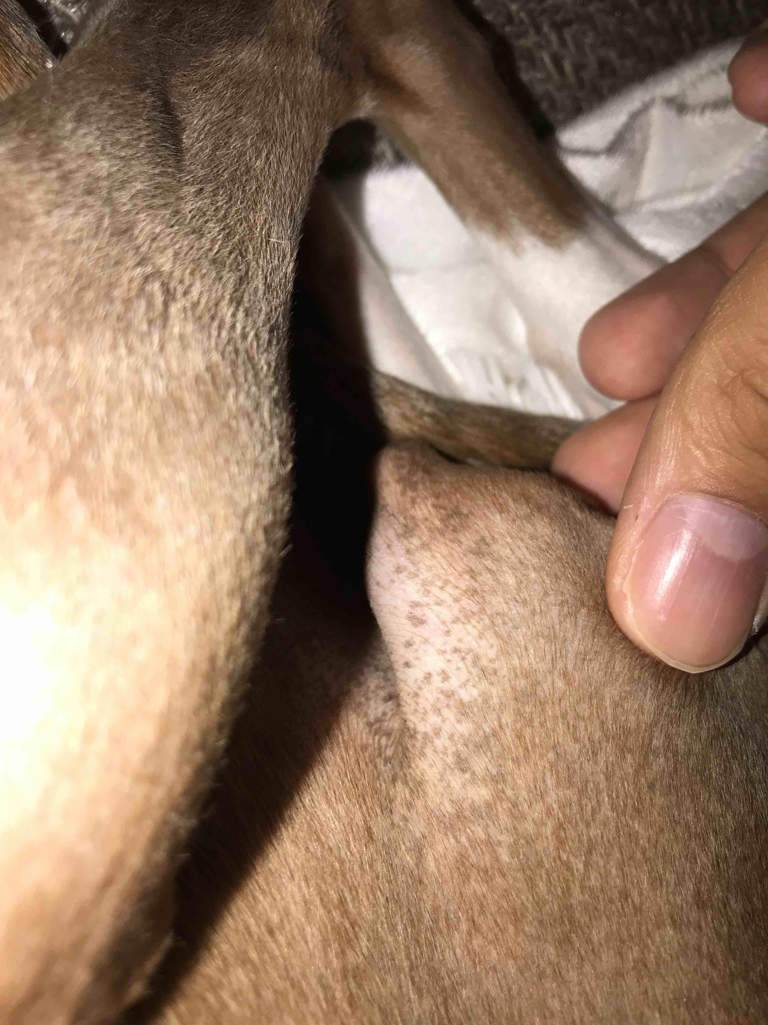 Question details sensitive content