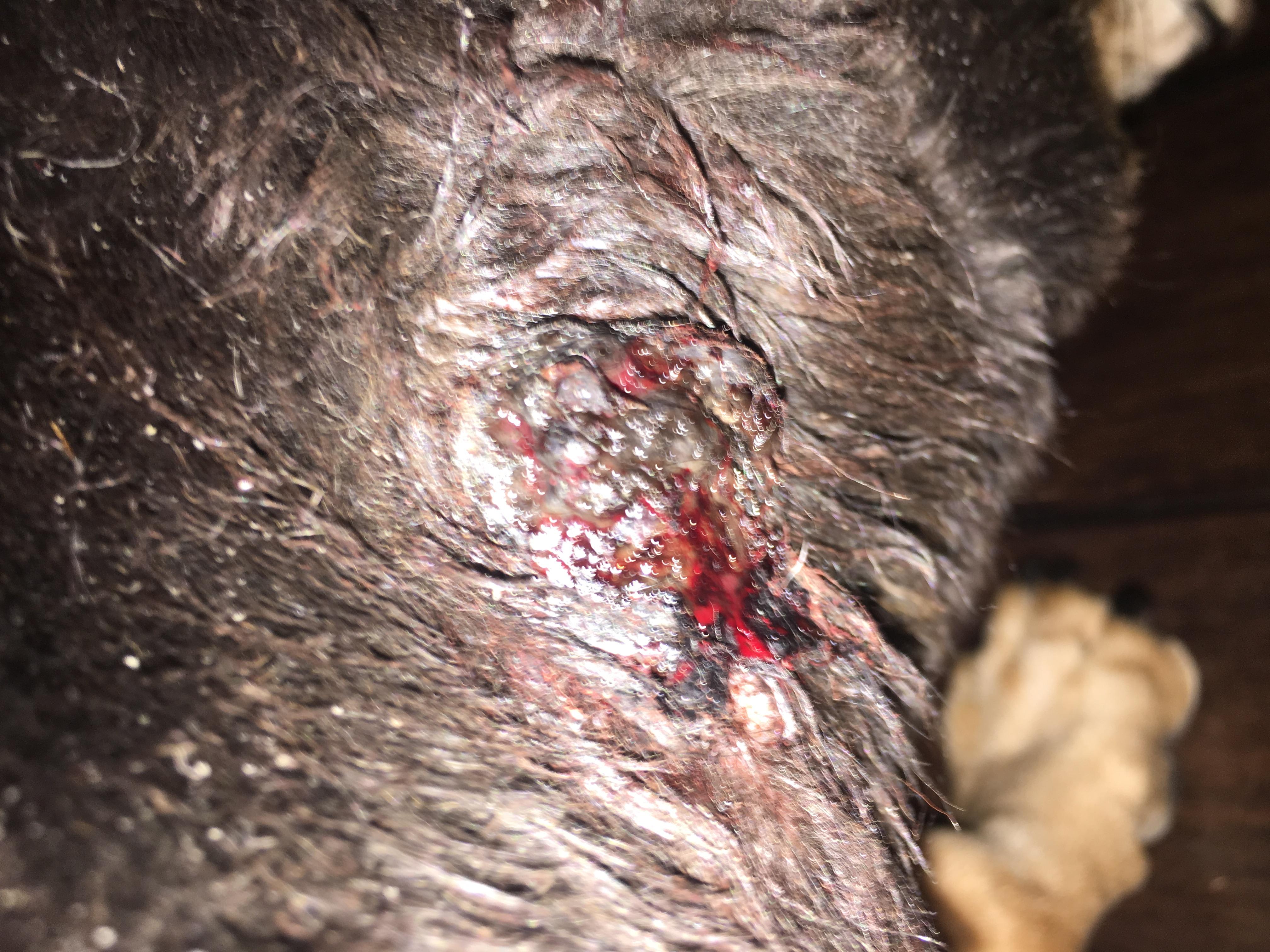 Question details sensitive content