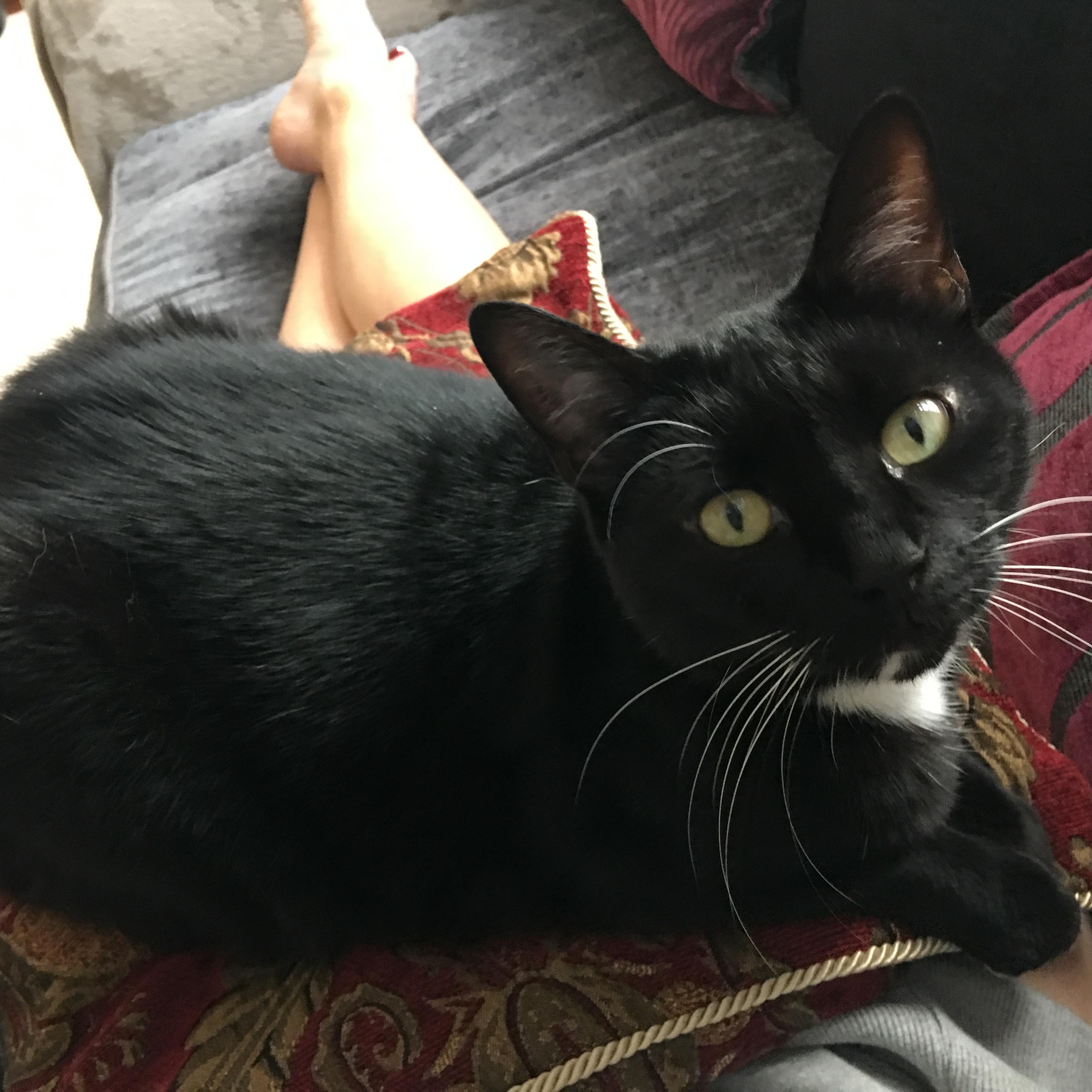 Question details sensitive content