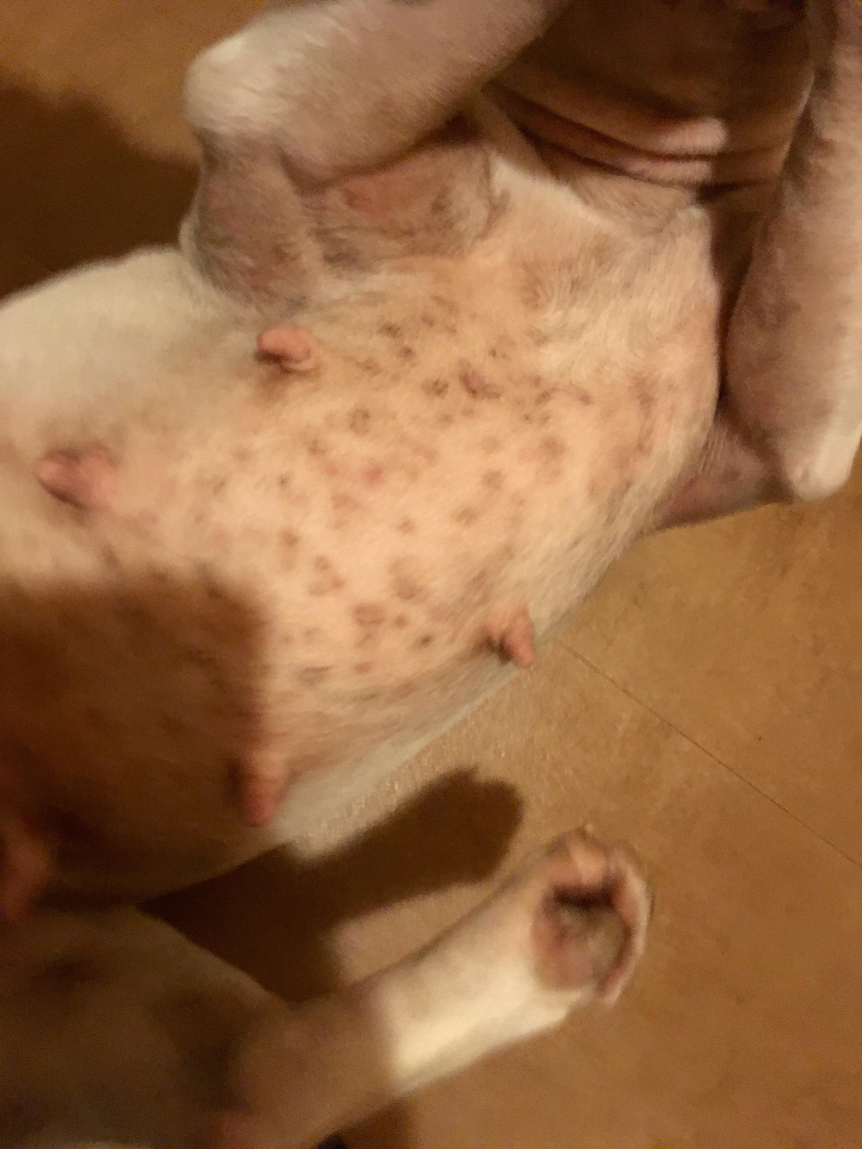 Question details sensitive content