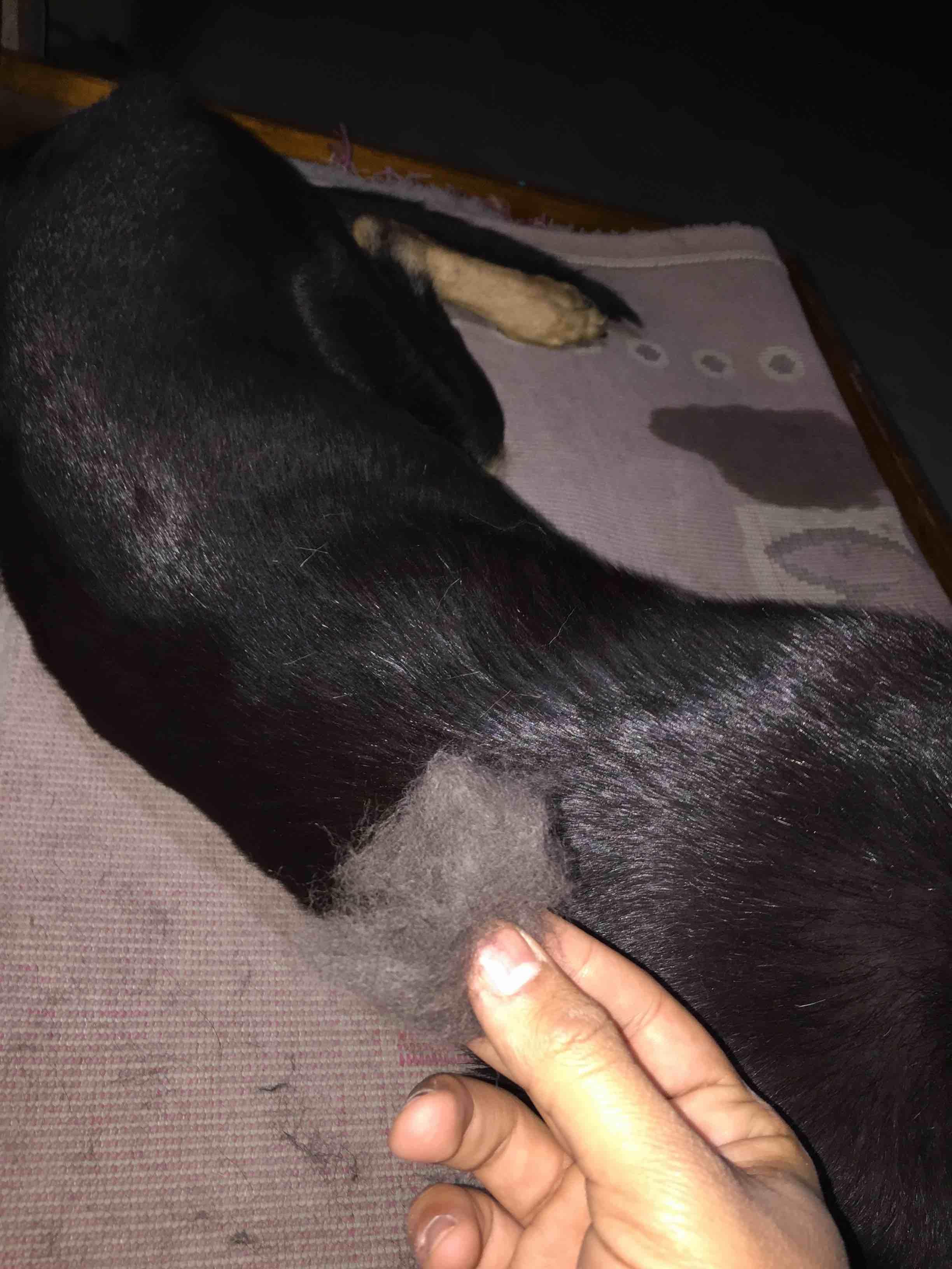 Question details sensitive content