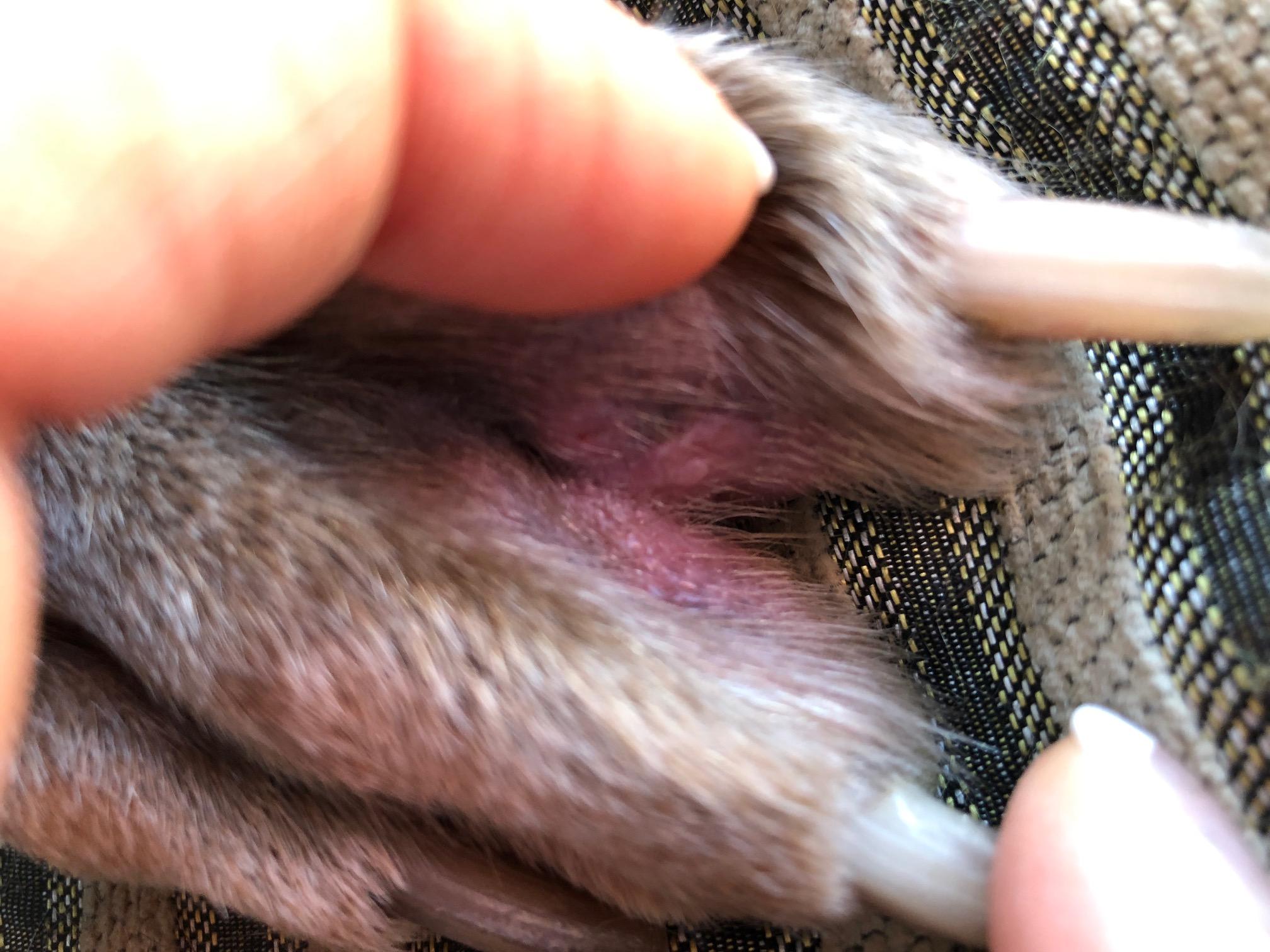 Question details sensitive content