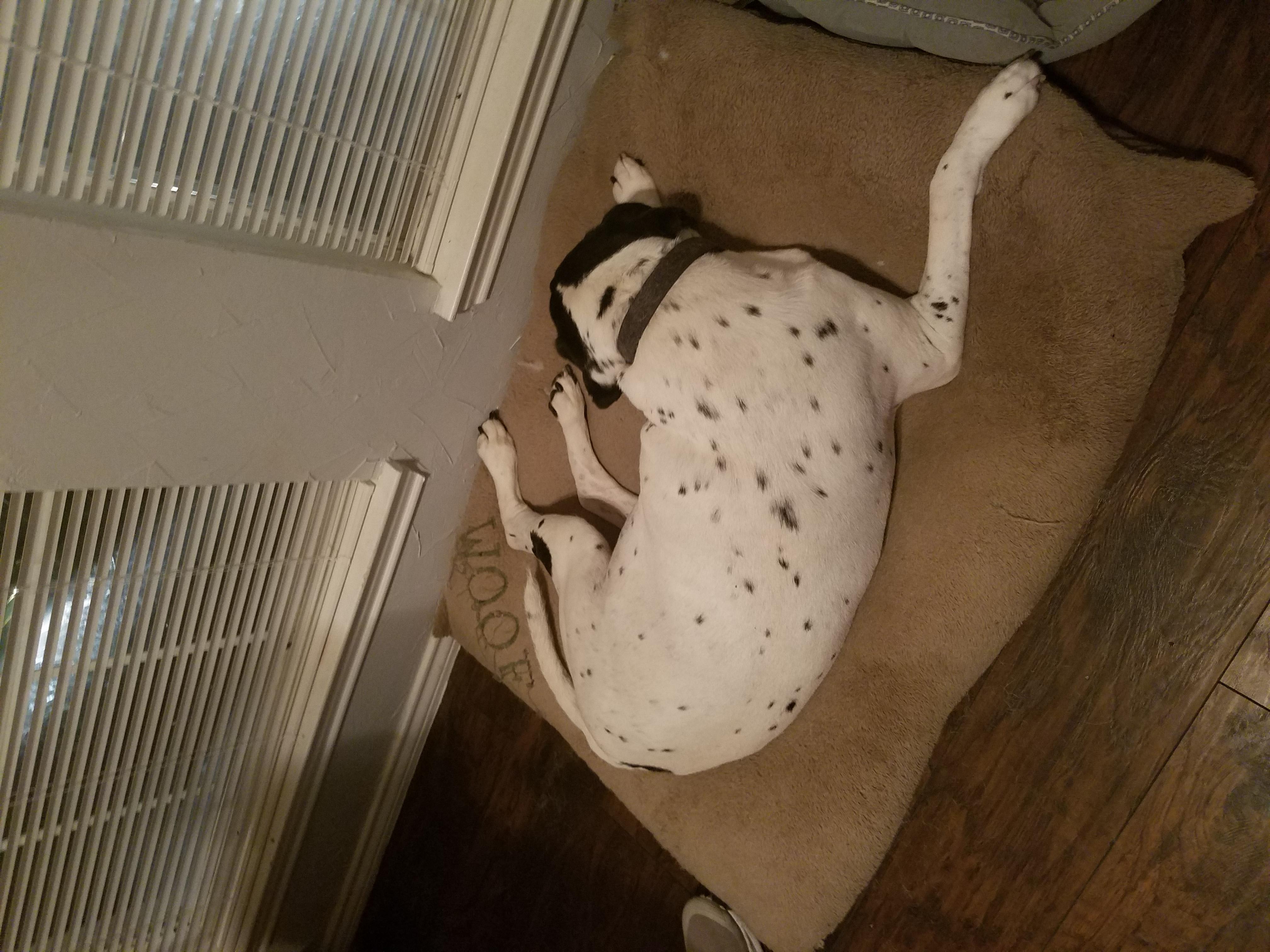 Question details sensitive content