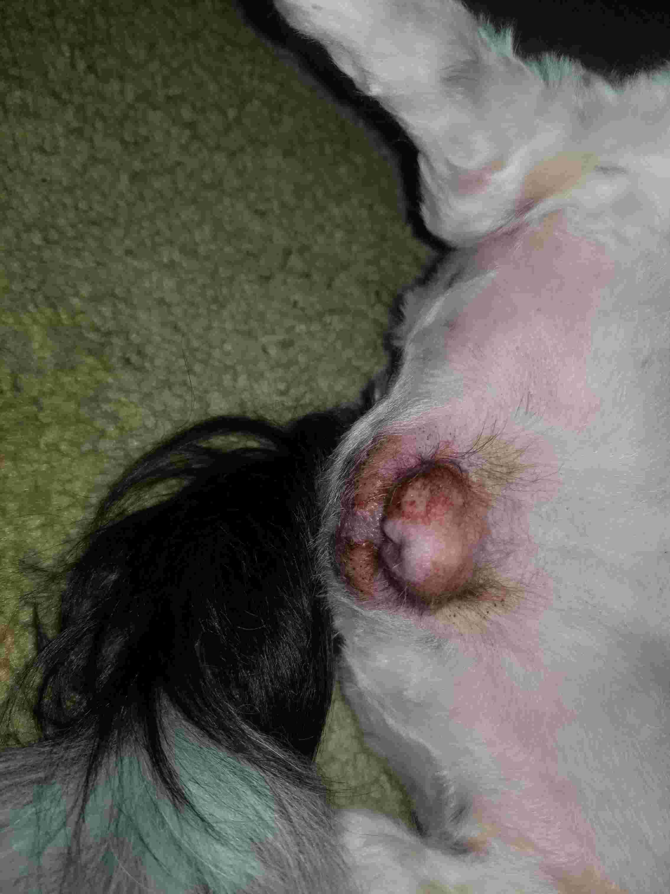 Question details sensitive content